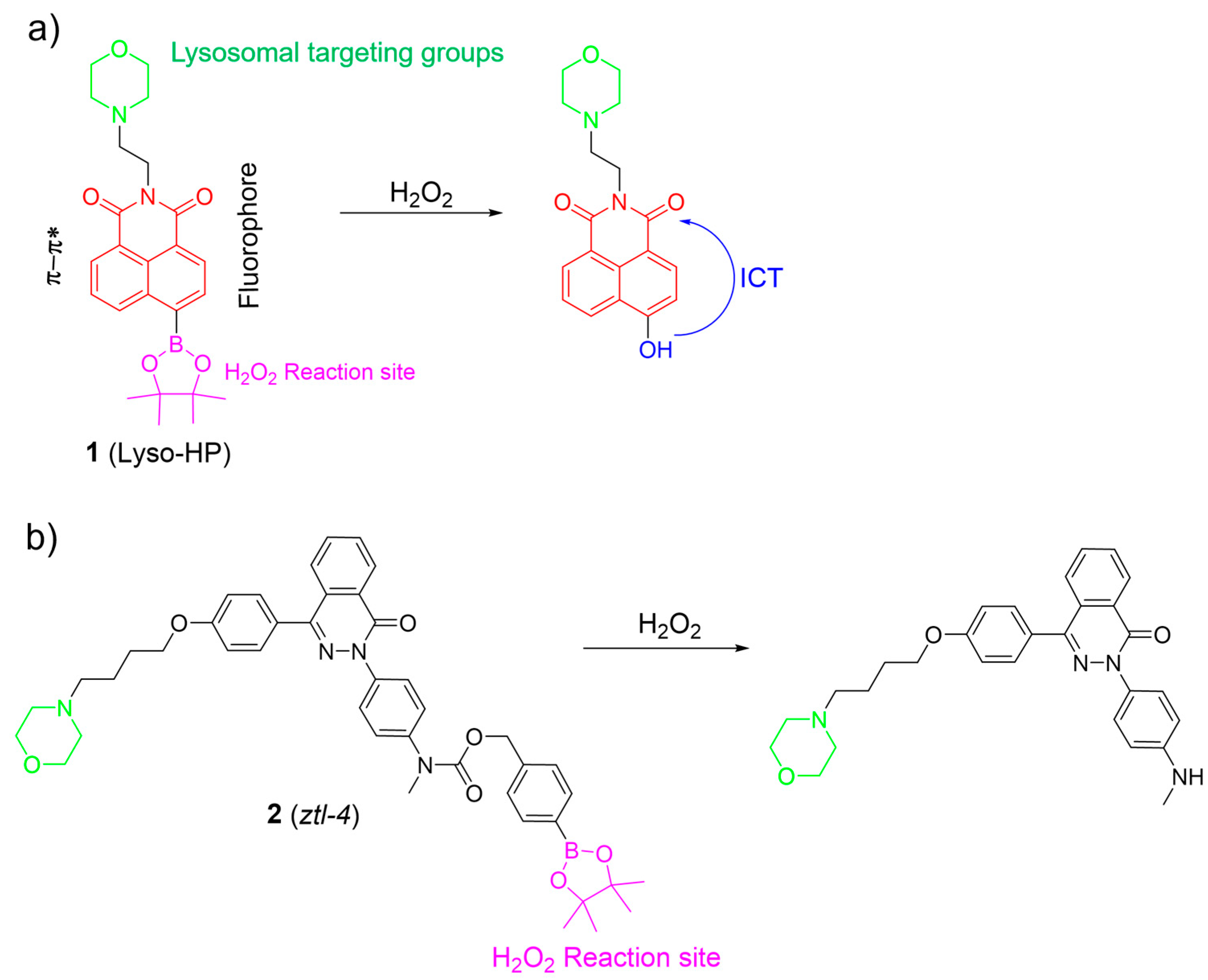 Molecules 28 06650 g003