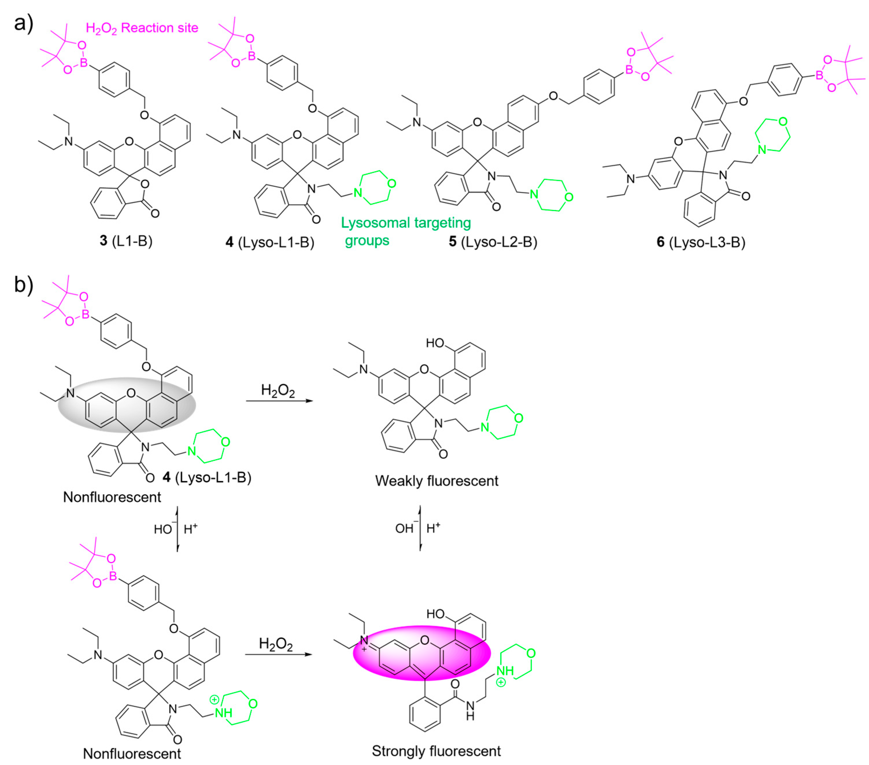 Molecules 28 06650 g004