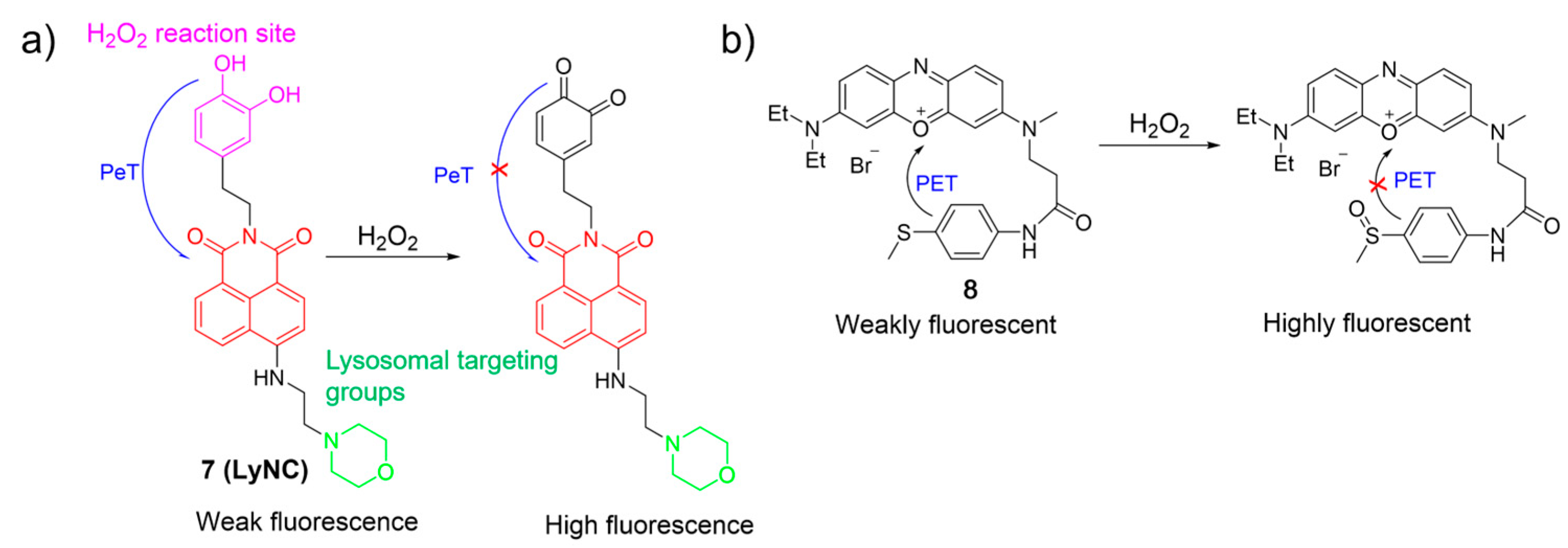 Molecules 28 06650 g005