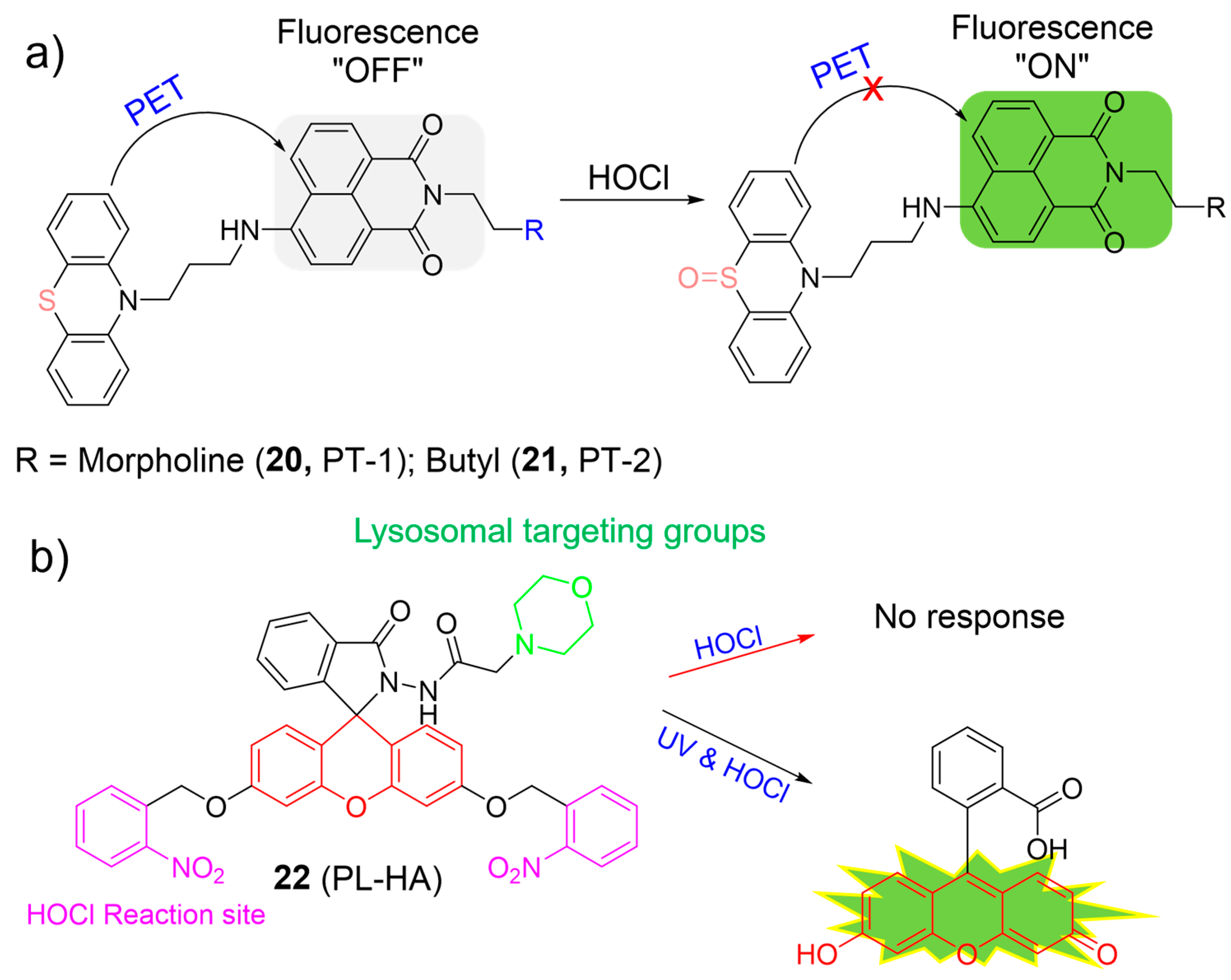 Molecules 28 06650 g010