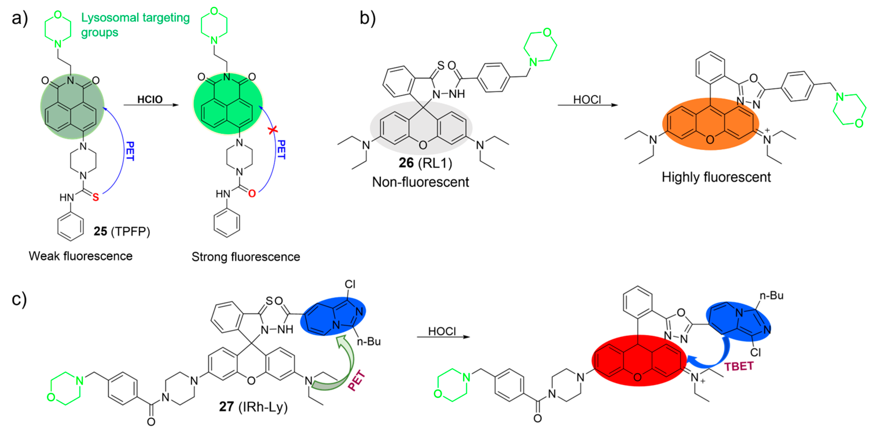 Molecules 28 06650 g012