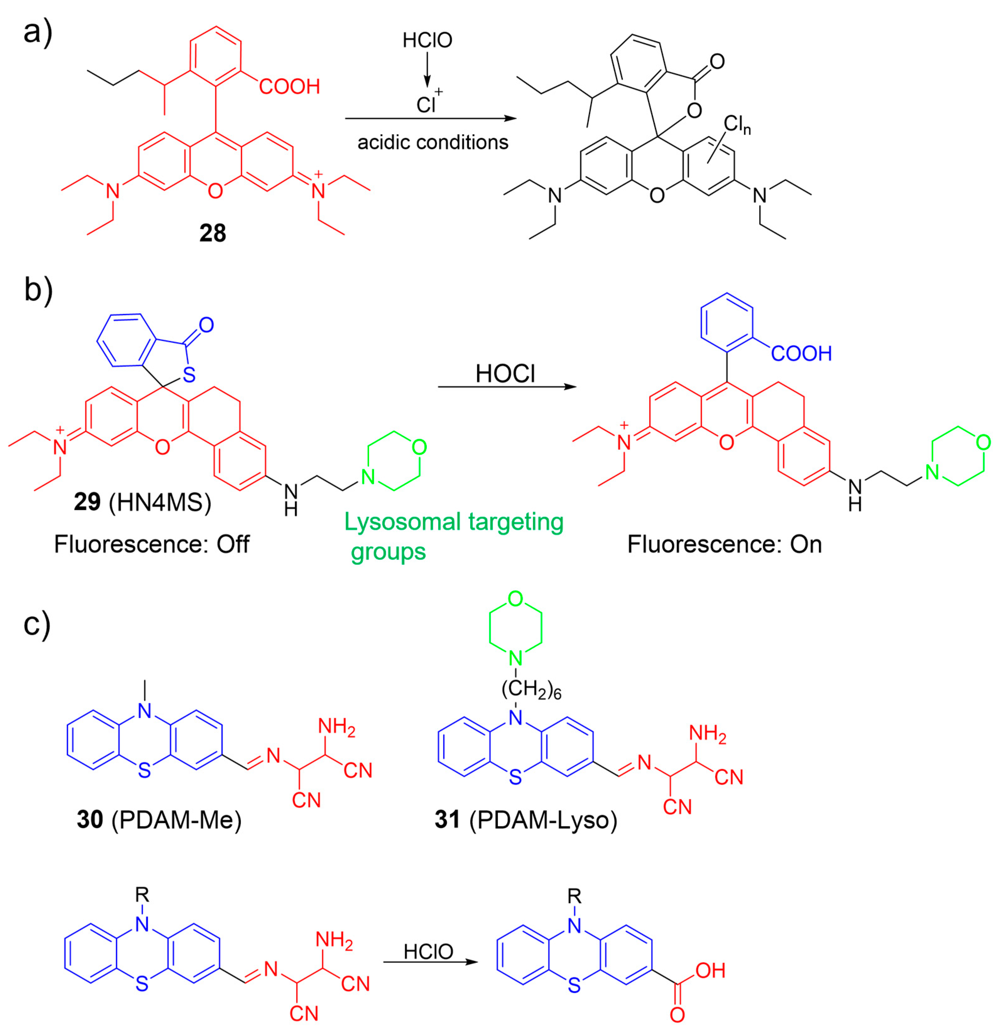 Molecules 28 06650 g013