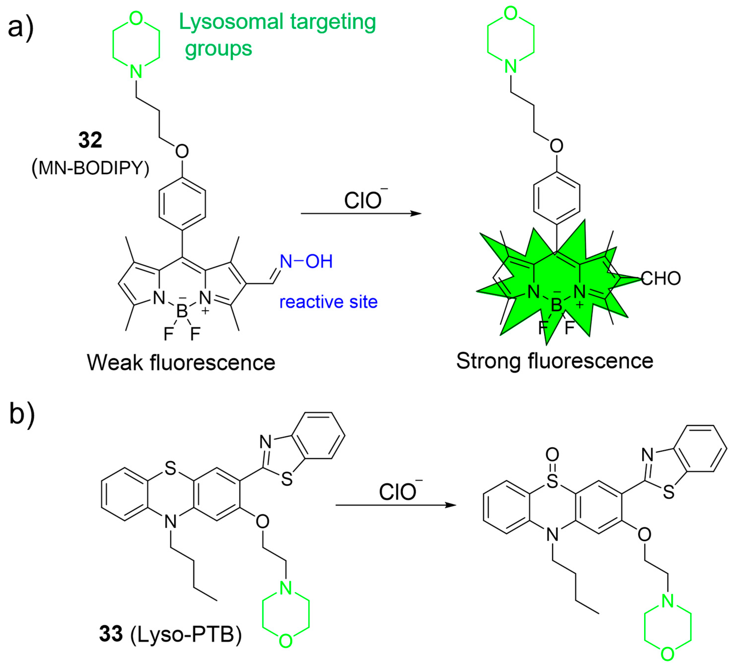Molecules 28 06650 g014