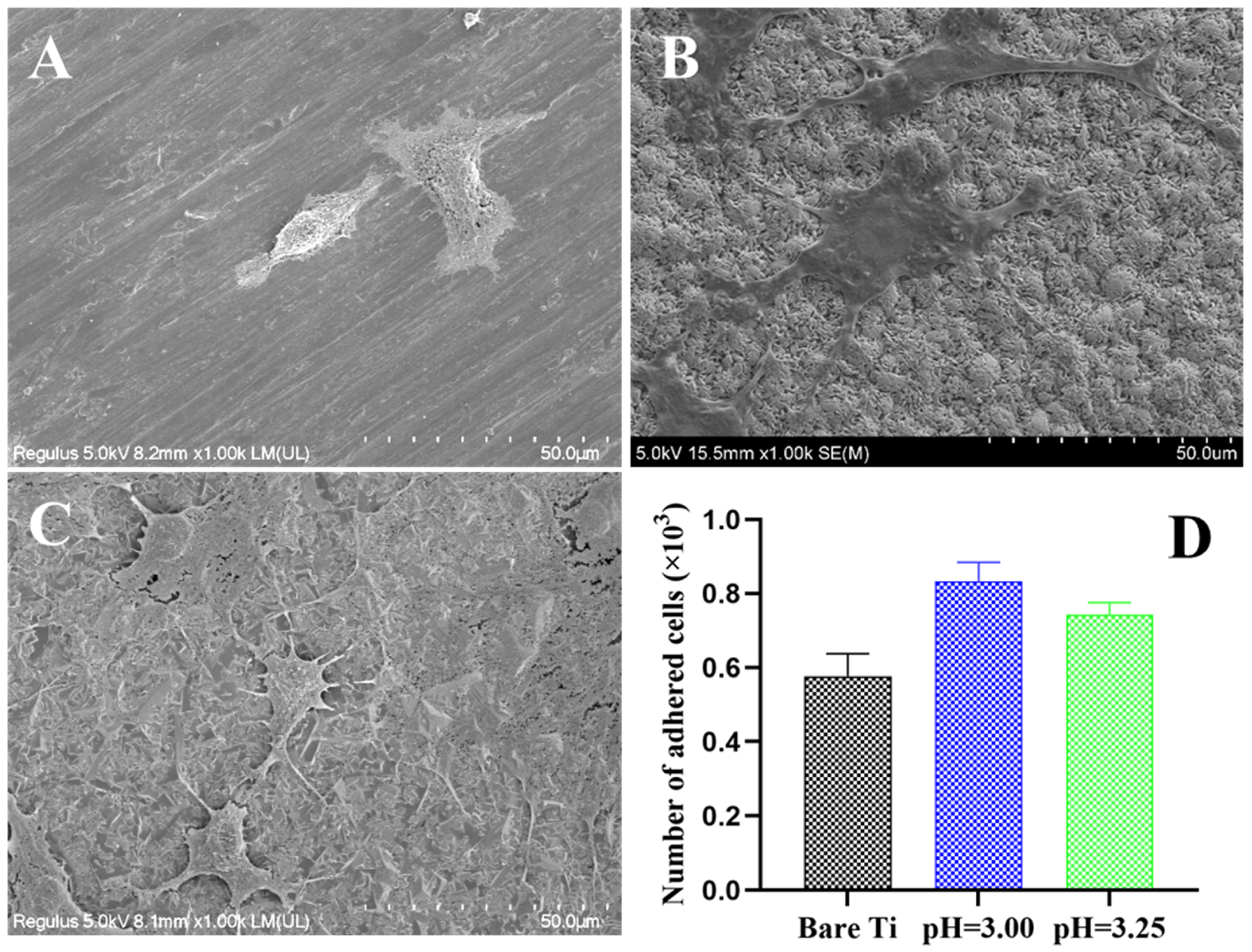 Molecules 28 06651 g005 Molecules 28 06651 g005