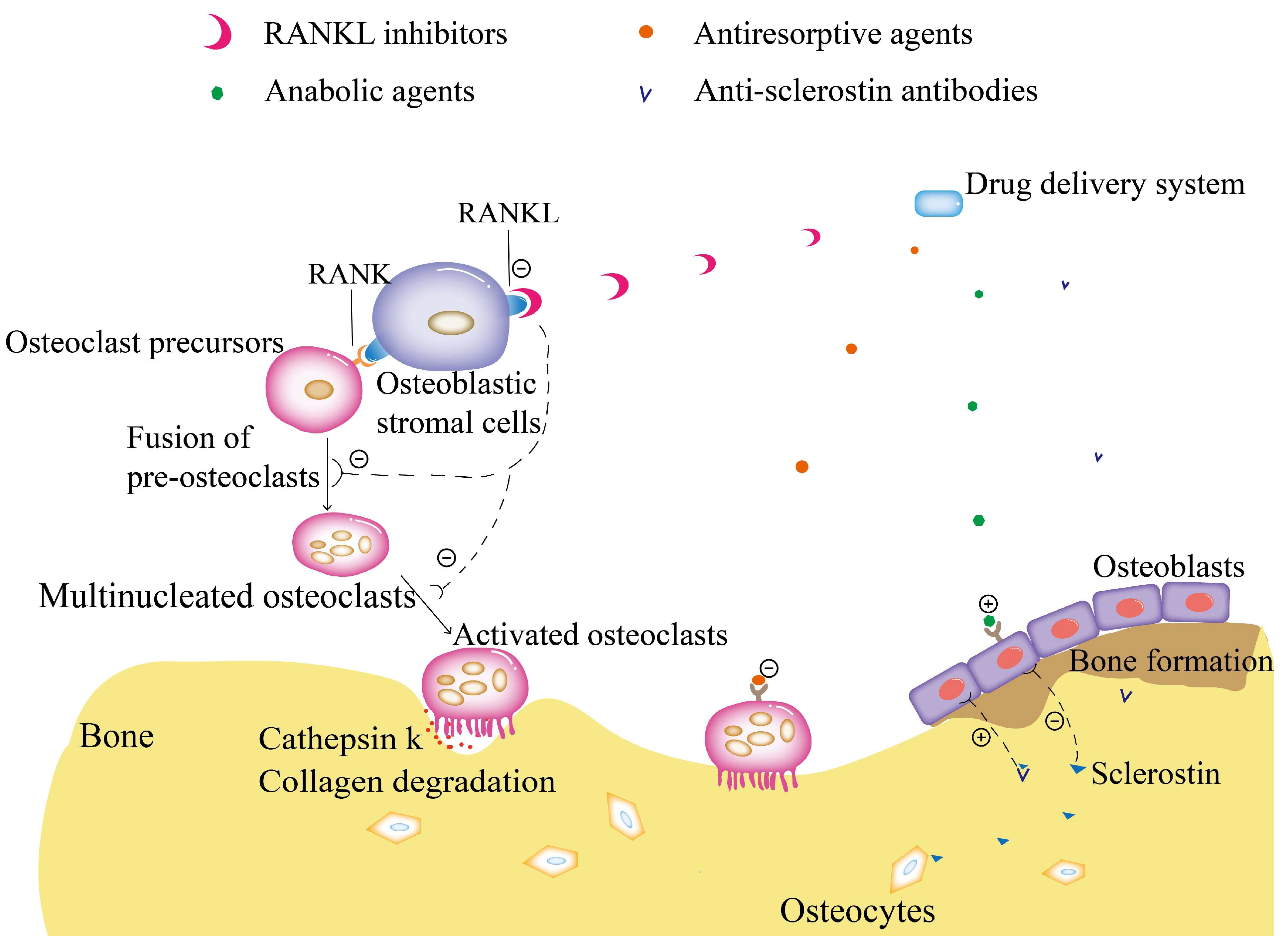 Molecules 28 06652 g001