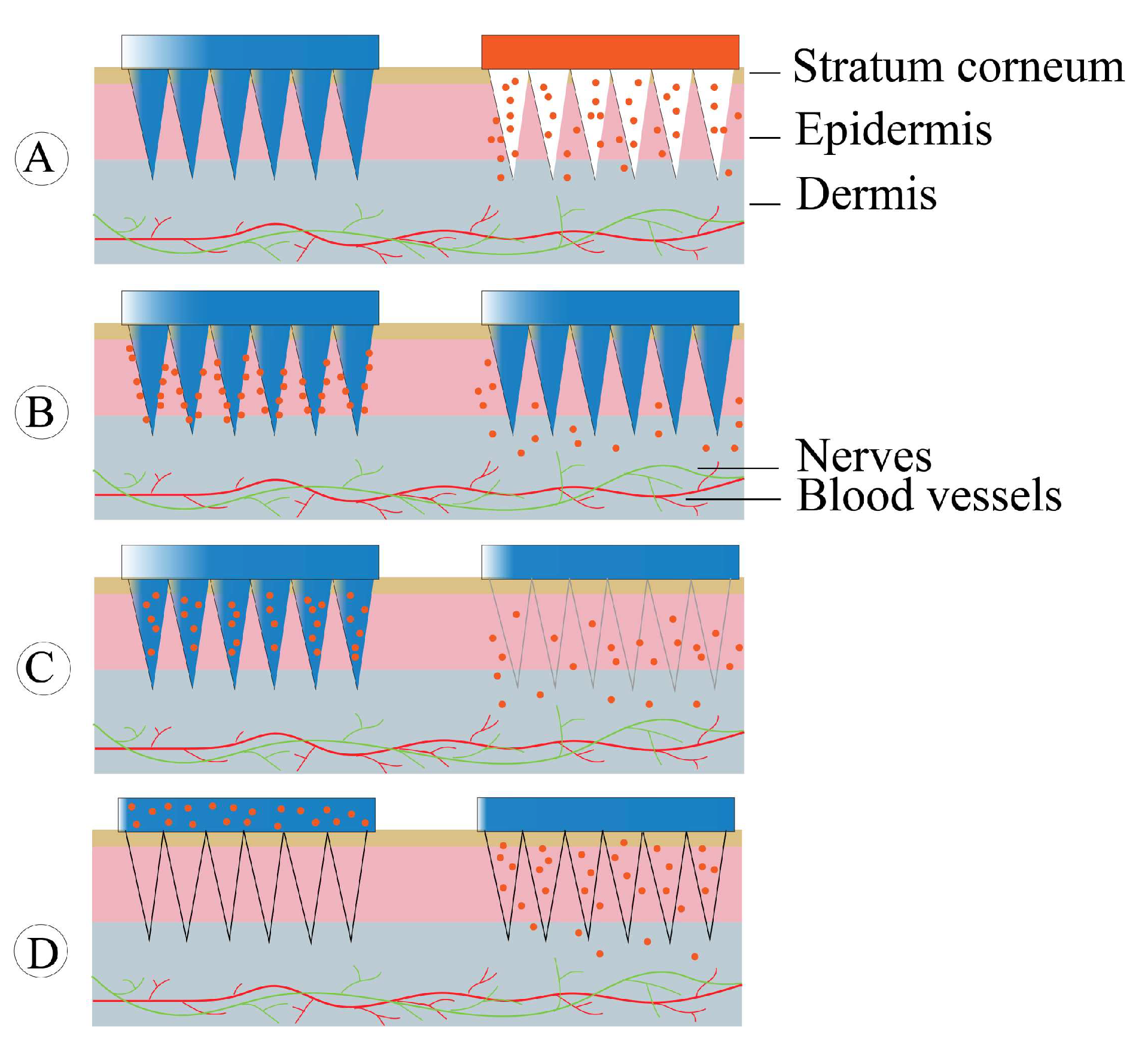 Molecules 28 06652 g005