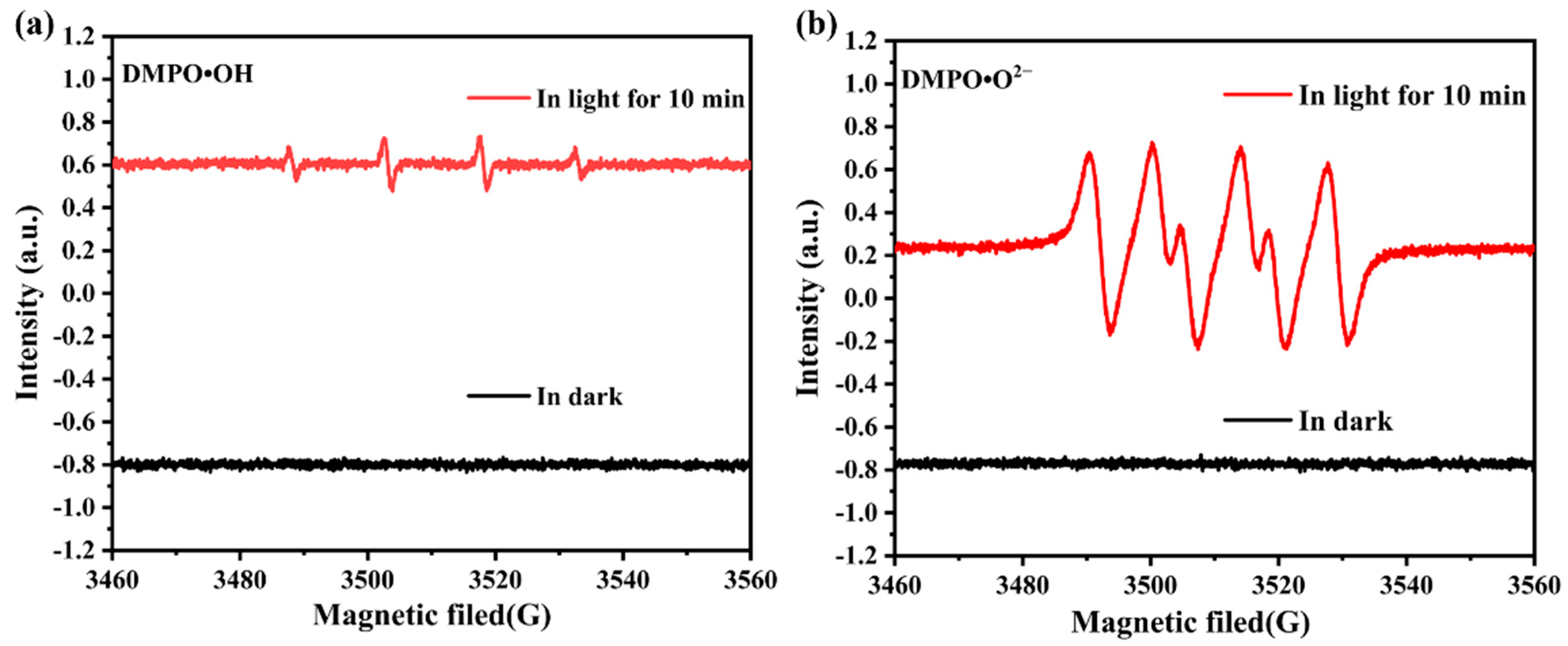 Molecules 28 06662 g005