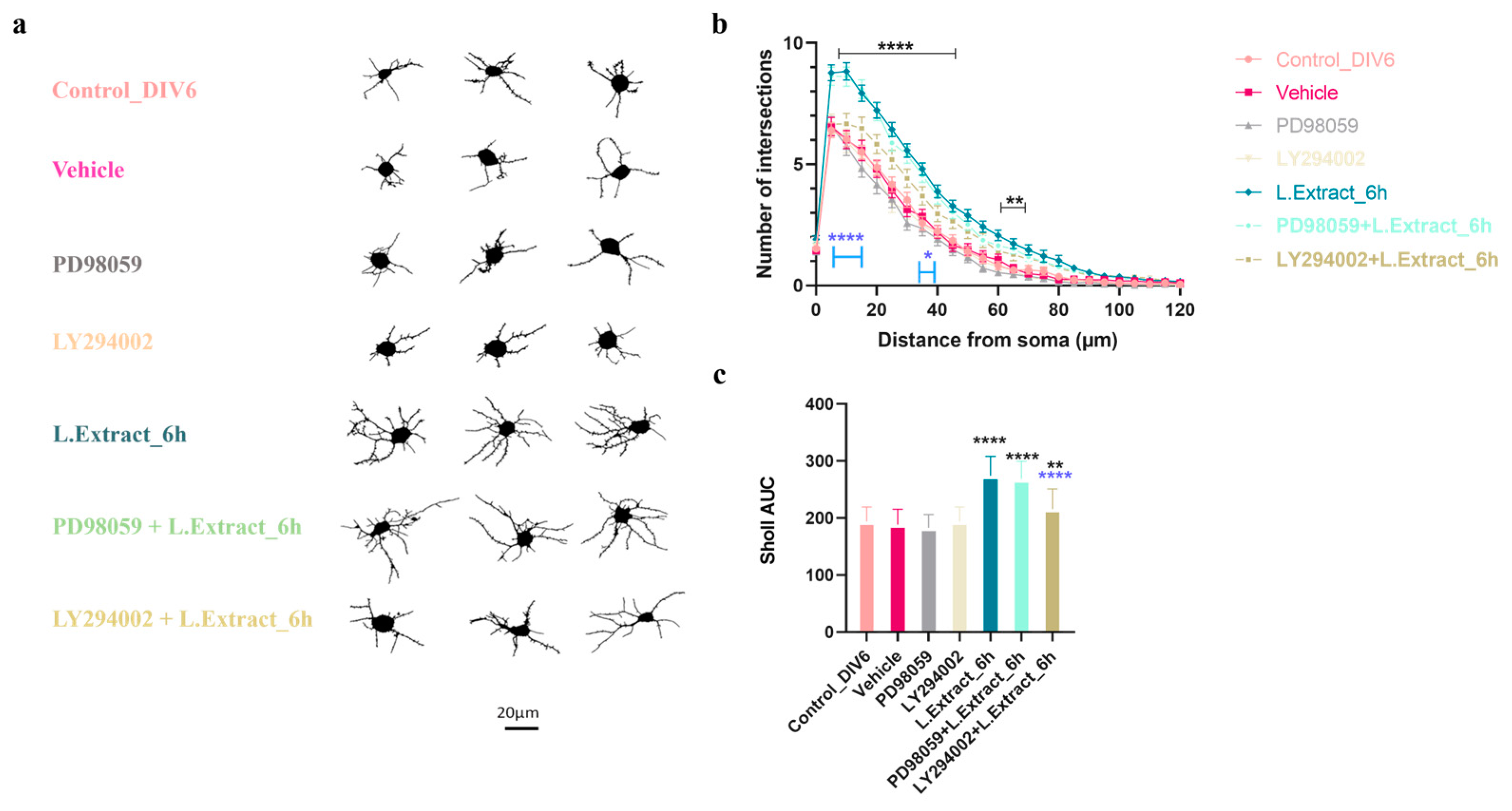 Molecules 28 06666 g006