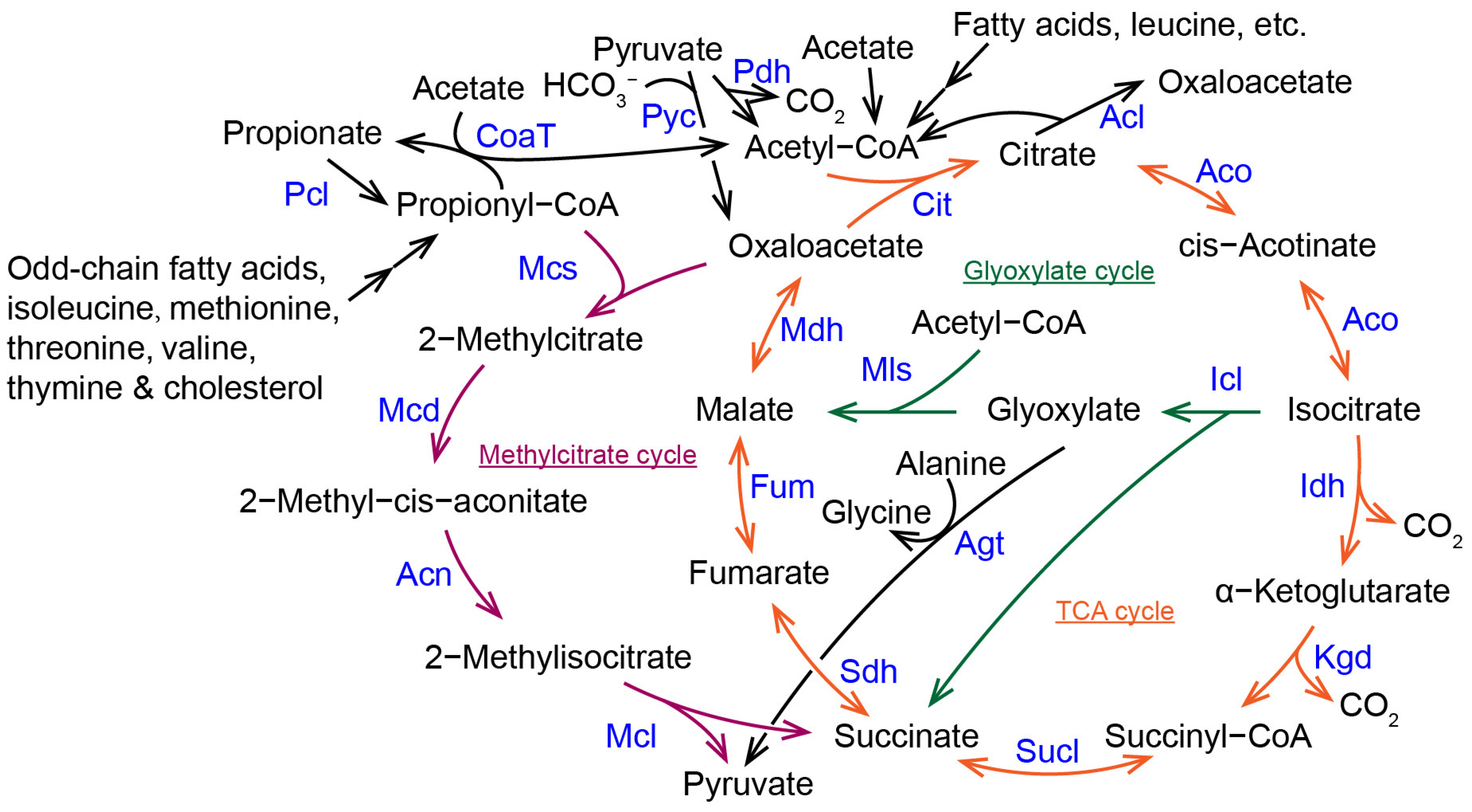 Molecules 28 06667 g001 Molecules 28 06667 g001