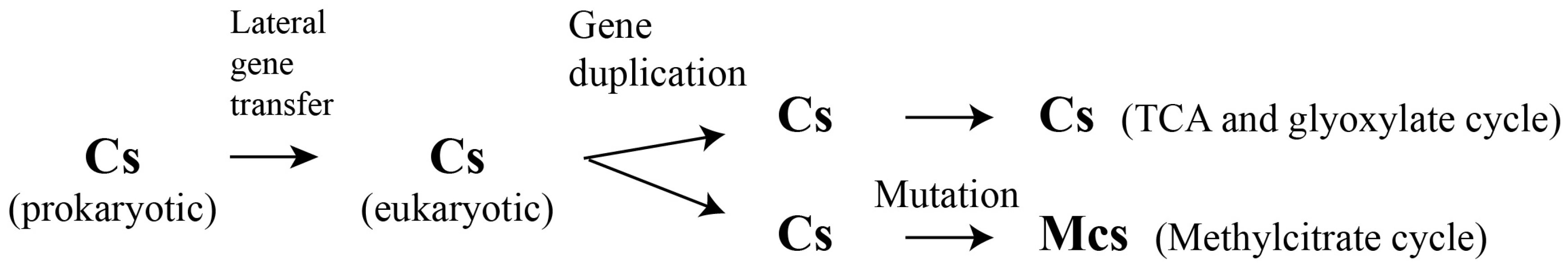 Molecules 28 06667 g002 Molecules 28 06667 g002