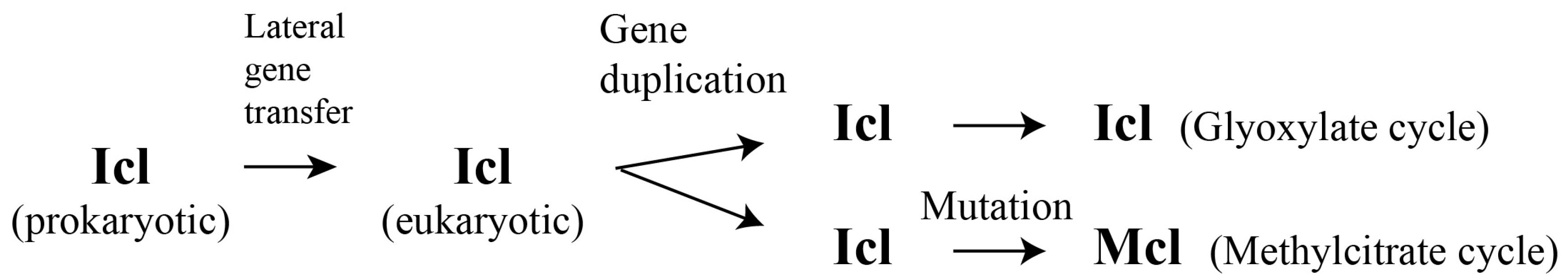 Molecules 28 06667 g003 Molecules 28 06667 g003