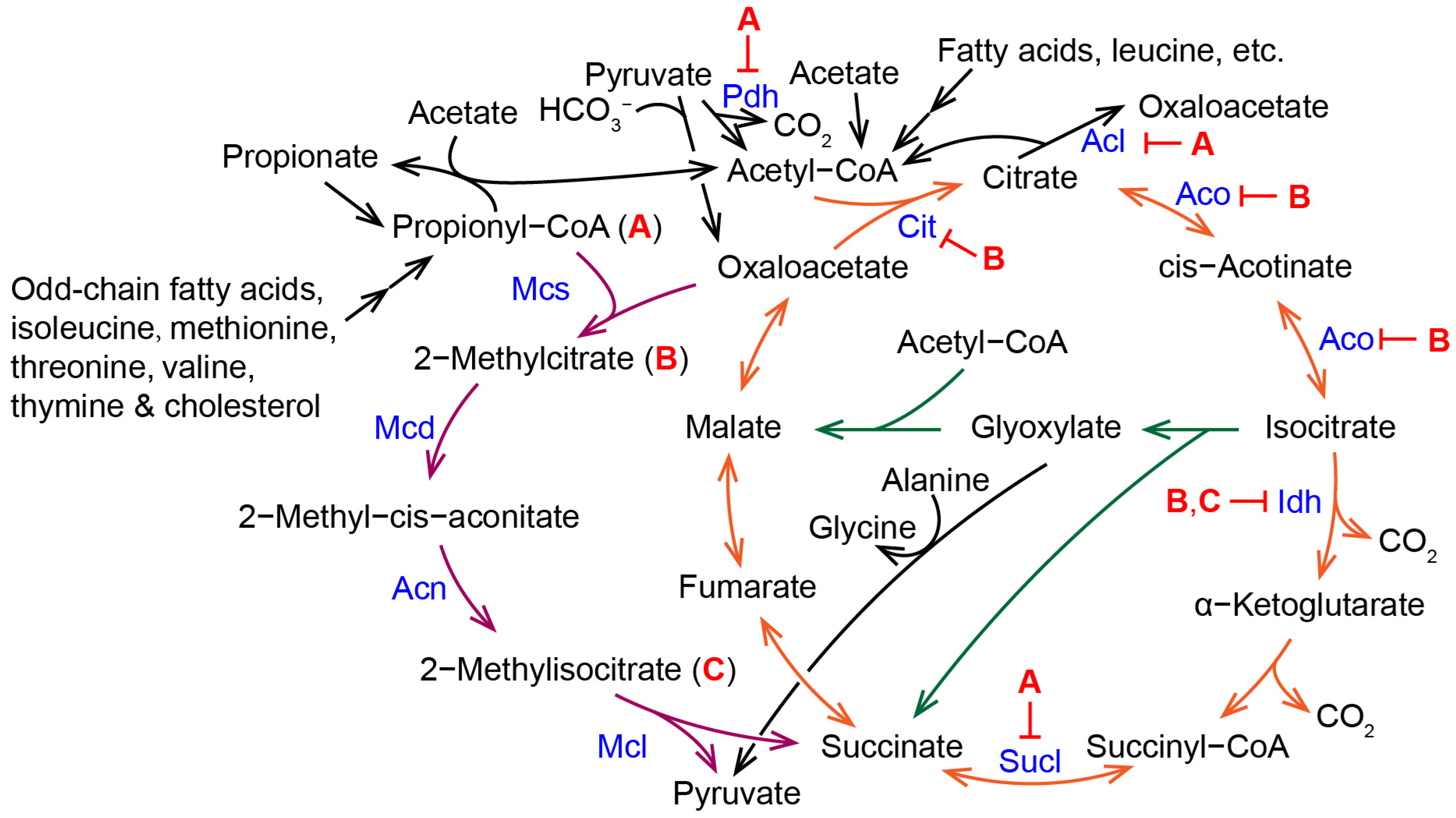 Molecules 28 06667 g005 Molecules 28 06667 g005
