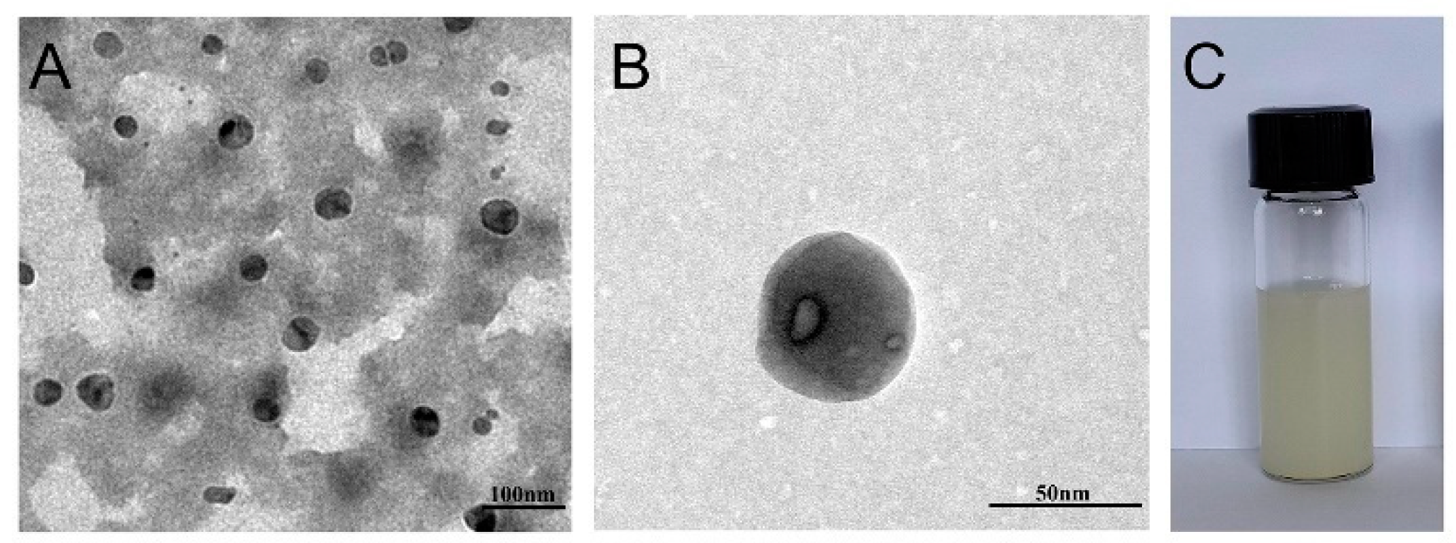 Molecules 28 06668 g005