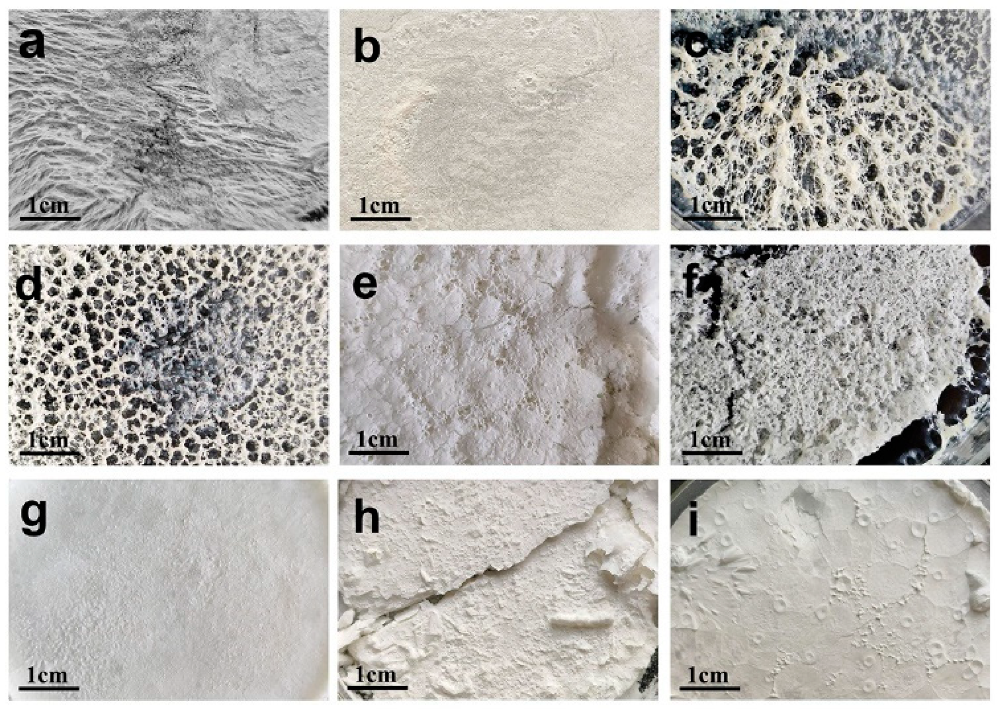 Molecules 28 06668 g011
