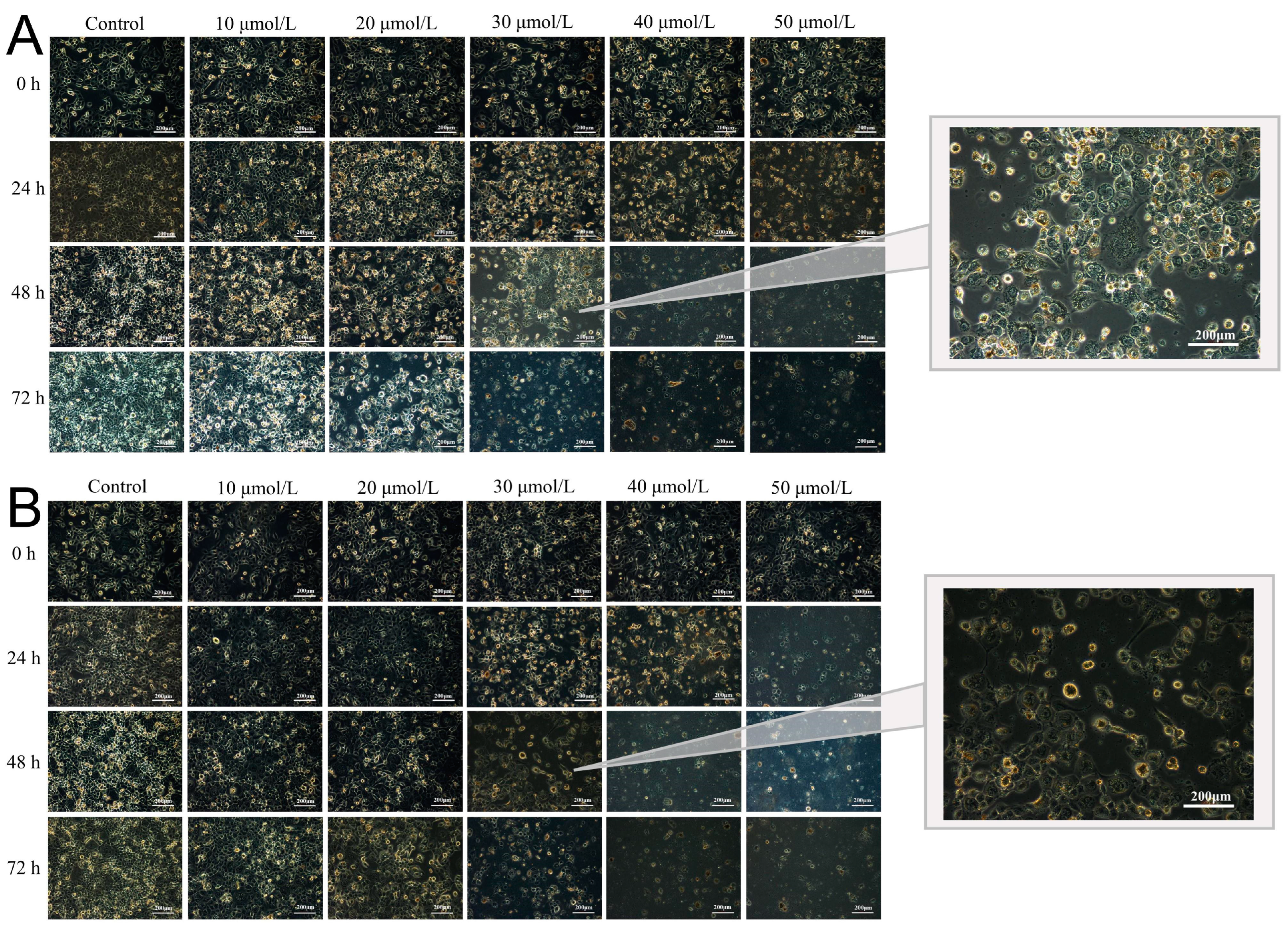 Molecules 28 06668 g014