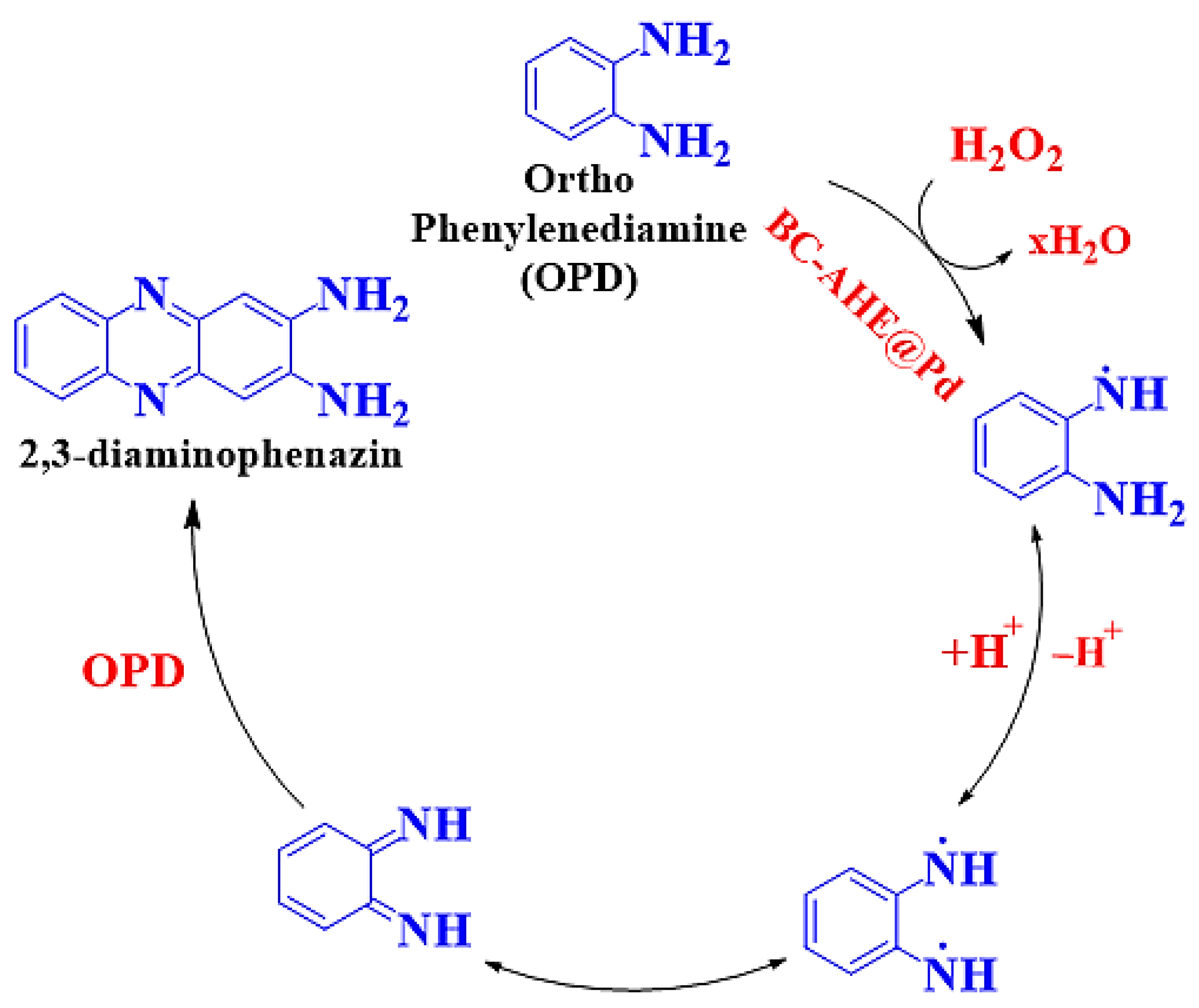 Molecules 28 06676 sch003