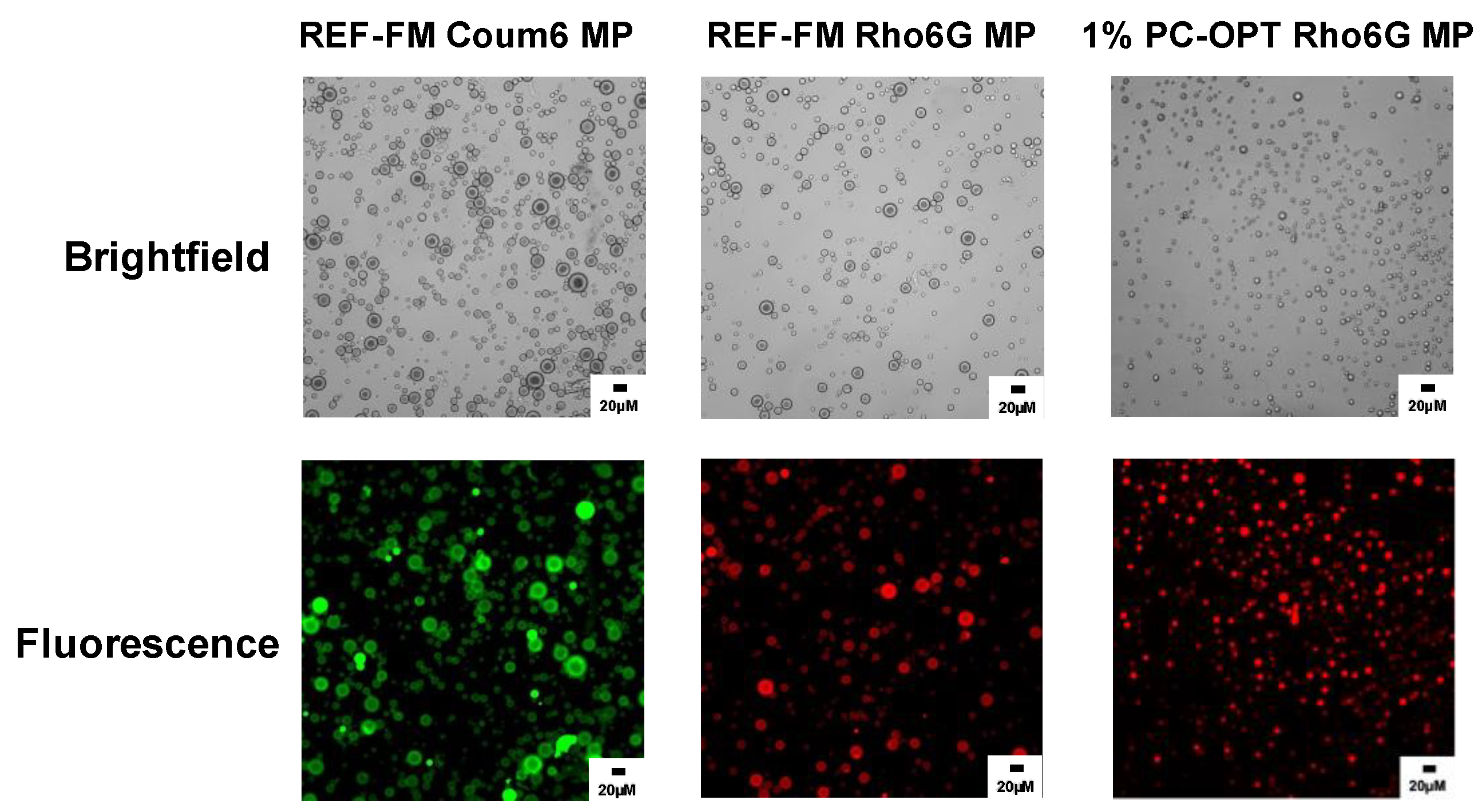 Molecules 28 06679 g011