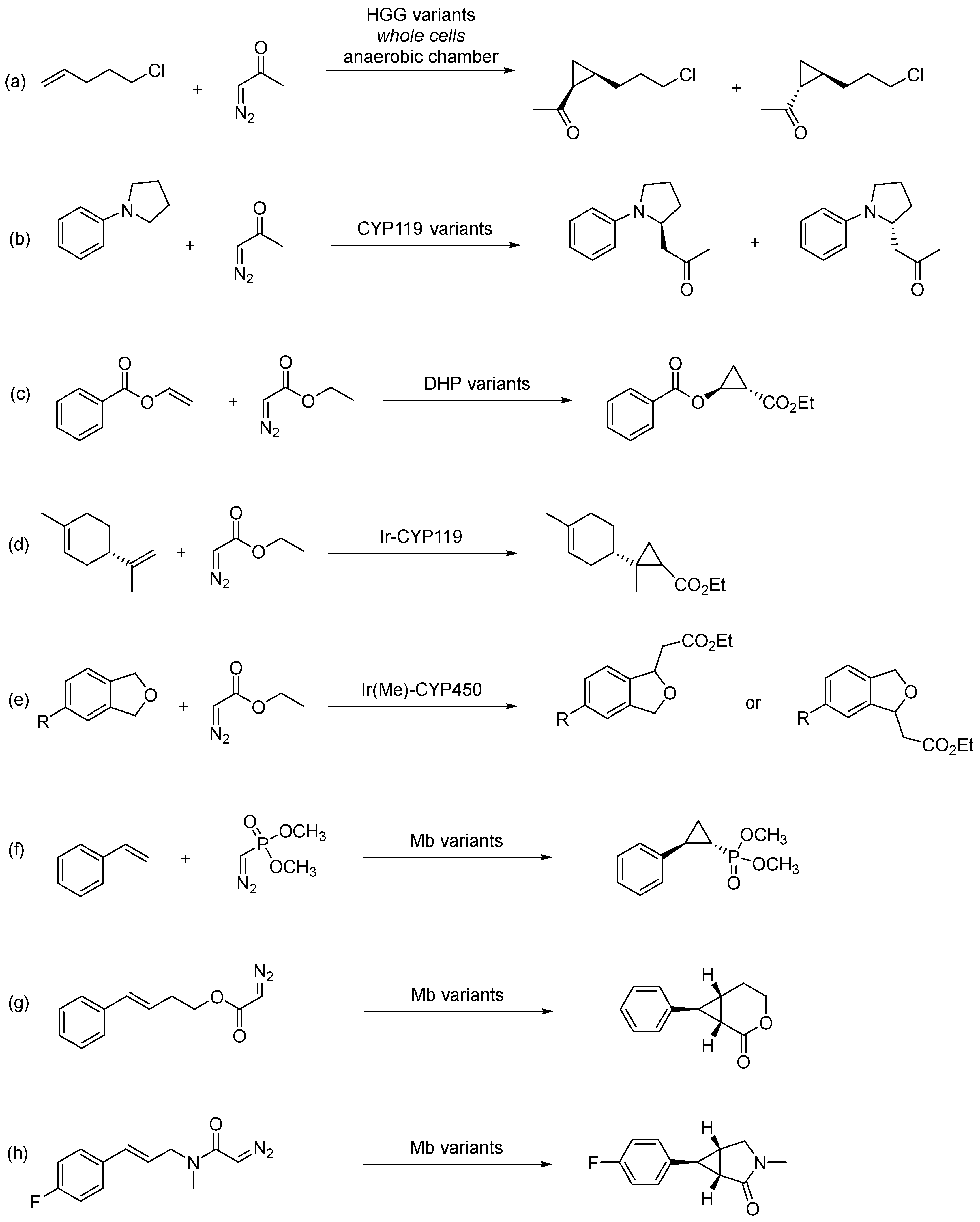 Molecules 28 06683 sch019