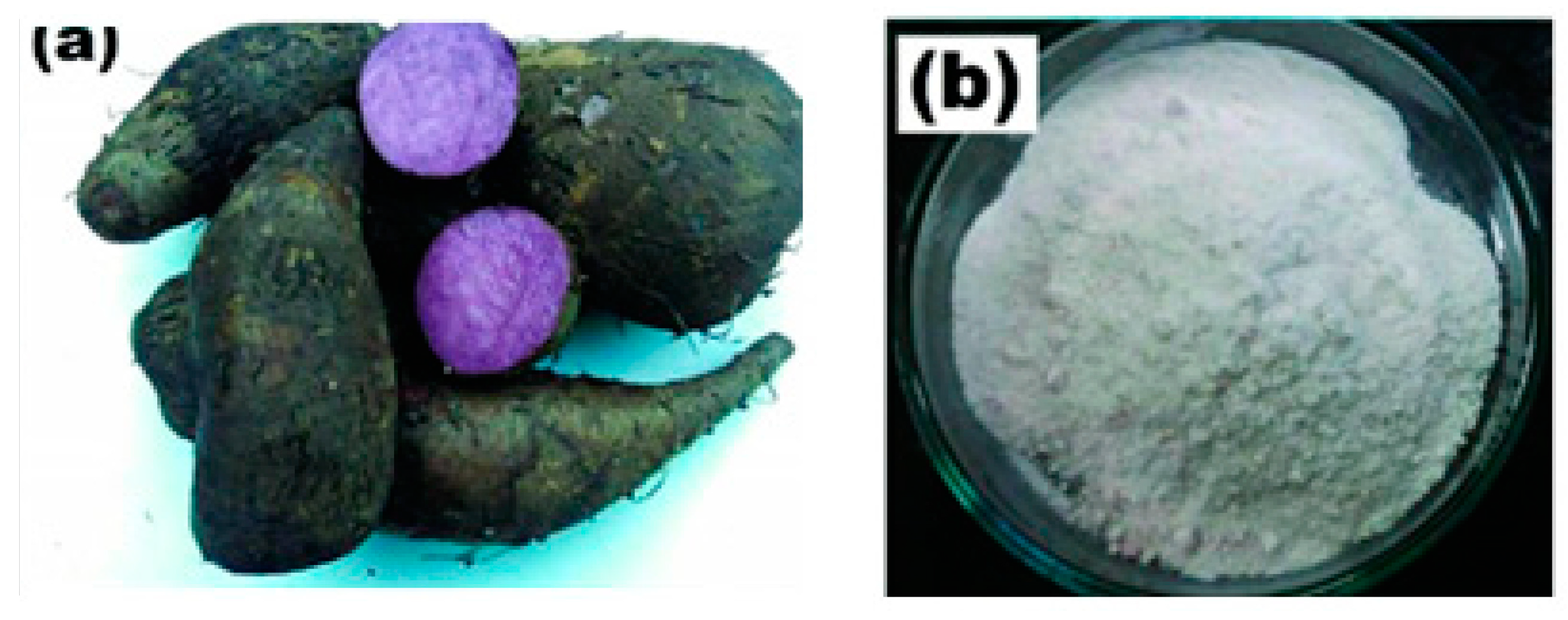 Molecules 28 06685 g013