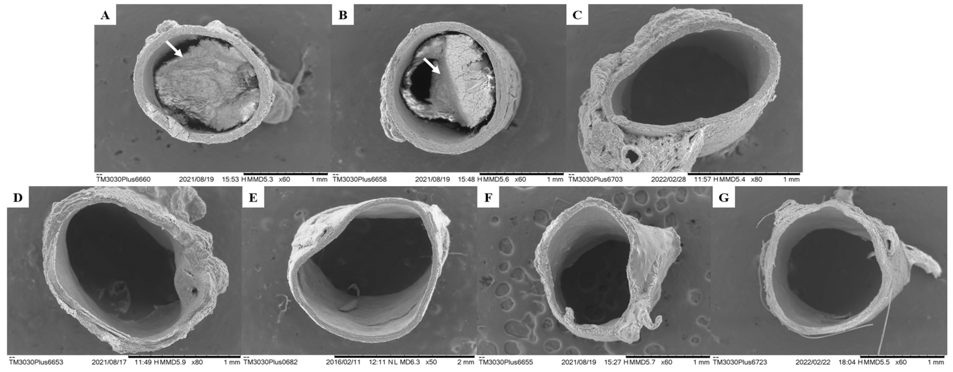 Molecules 28 06689 g006