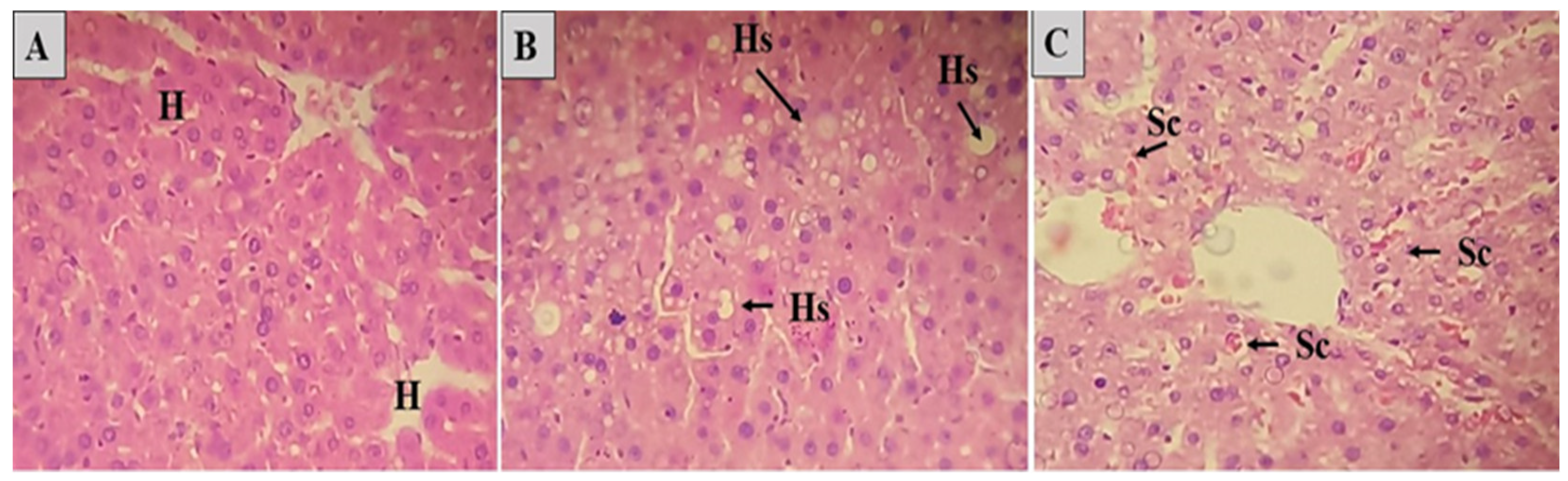 Molecules 28 06689 g007