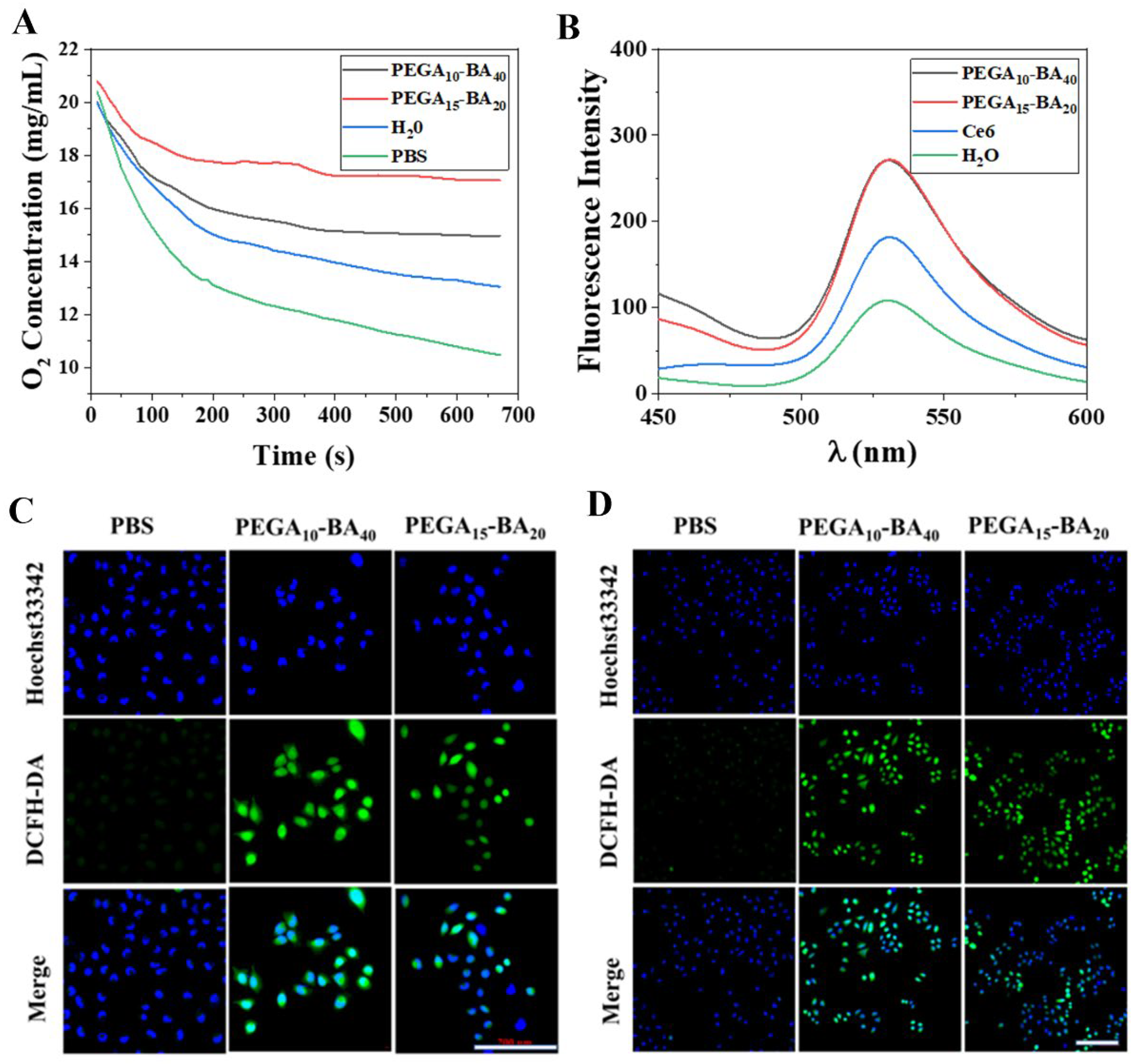 Molecules 28 06697 g004