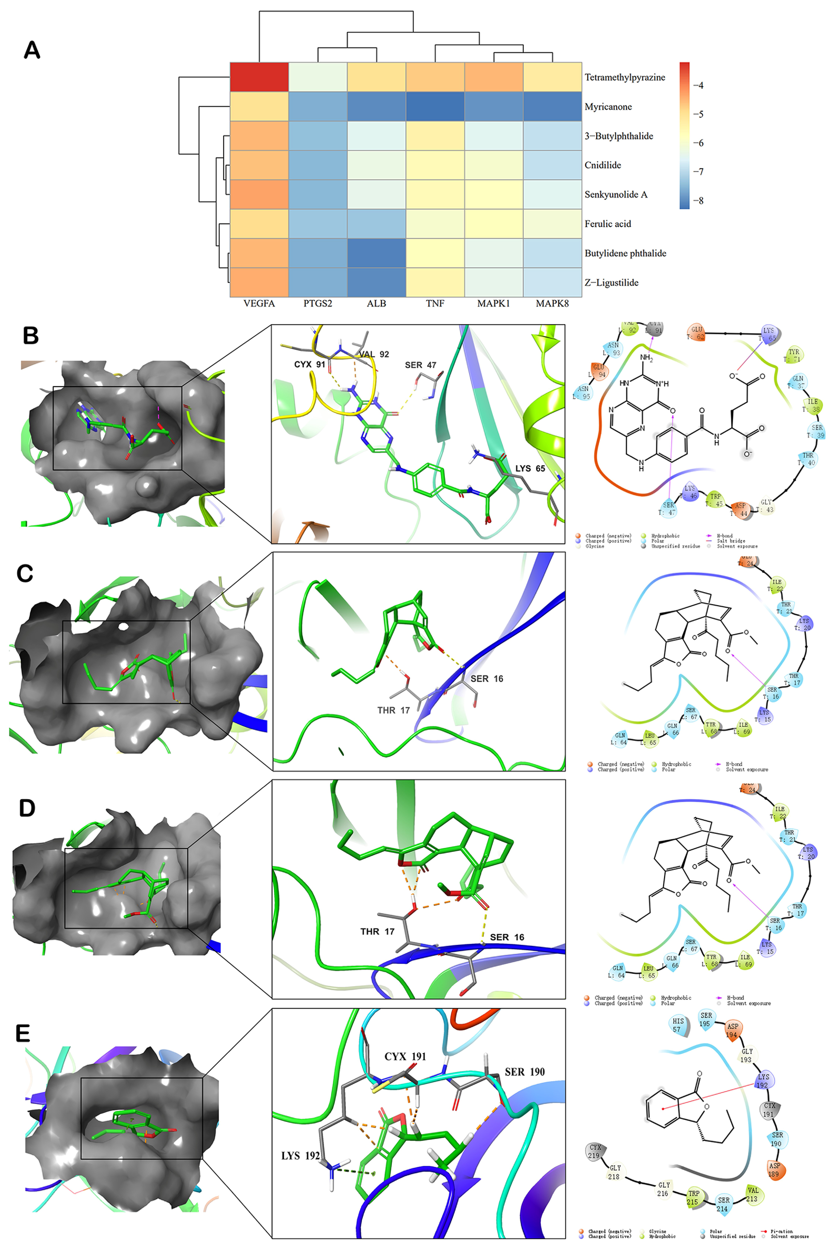 Molecules 28 06702 g005