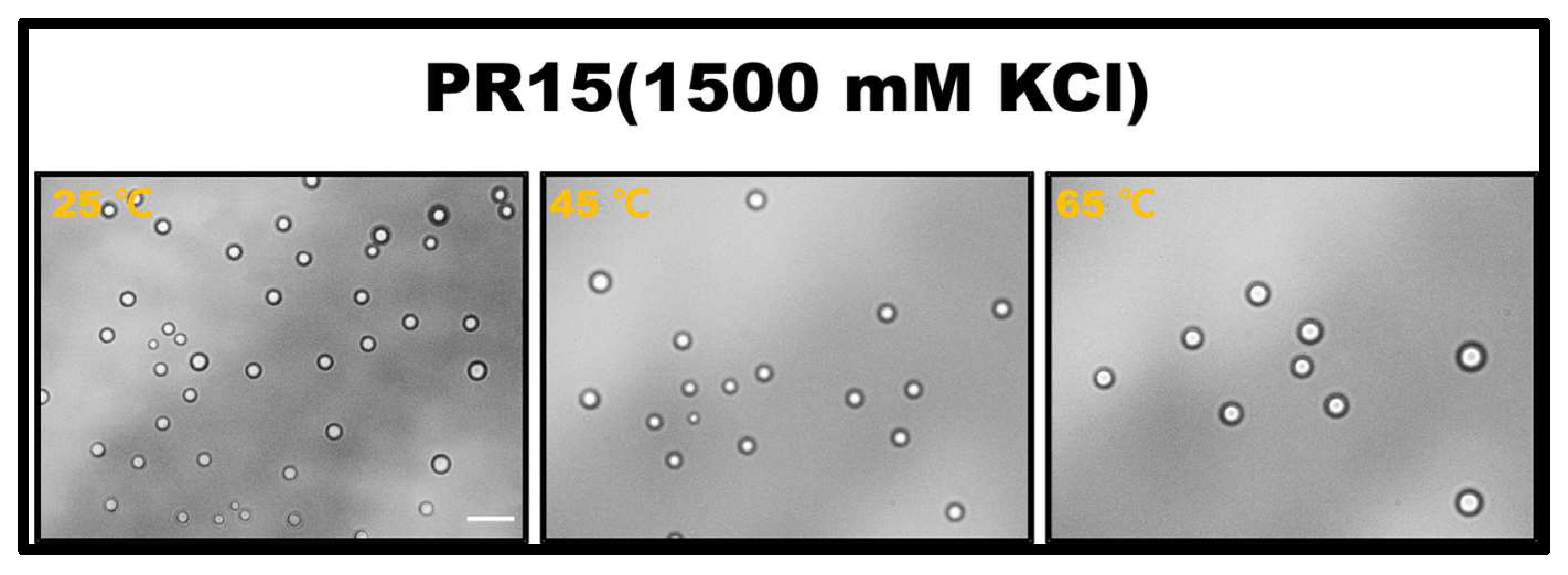 Molecules 28 06707 g002