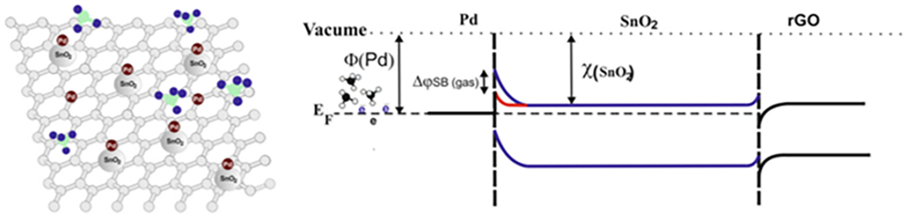 Molecules 28 06710 g007 Molecules 28 06710 g007