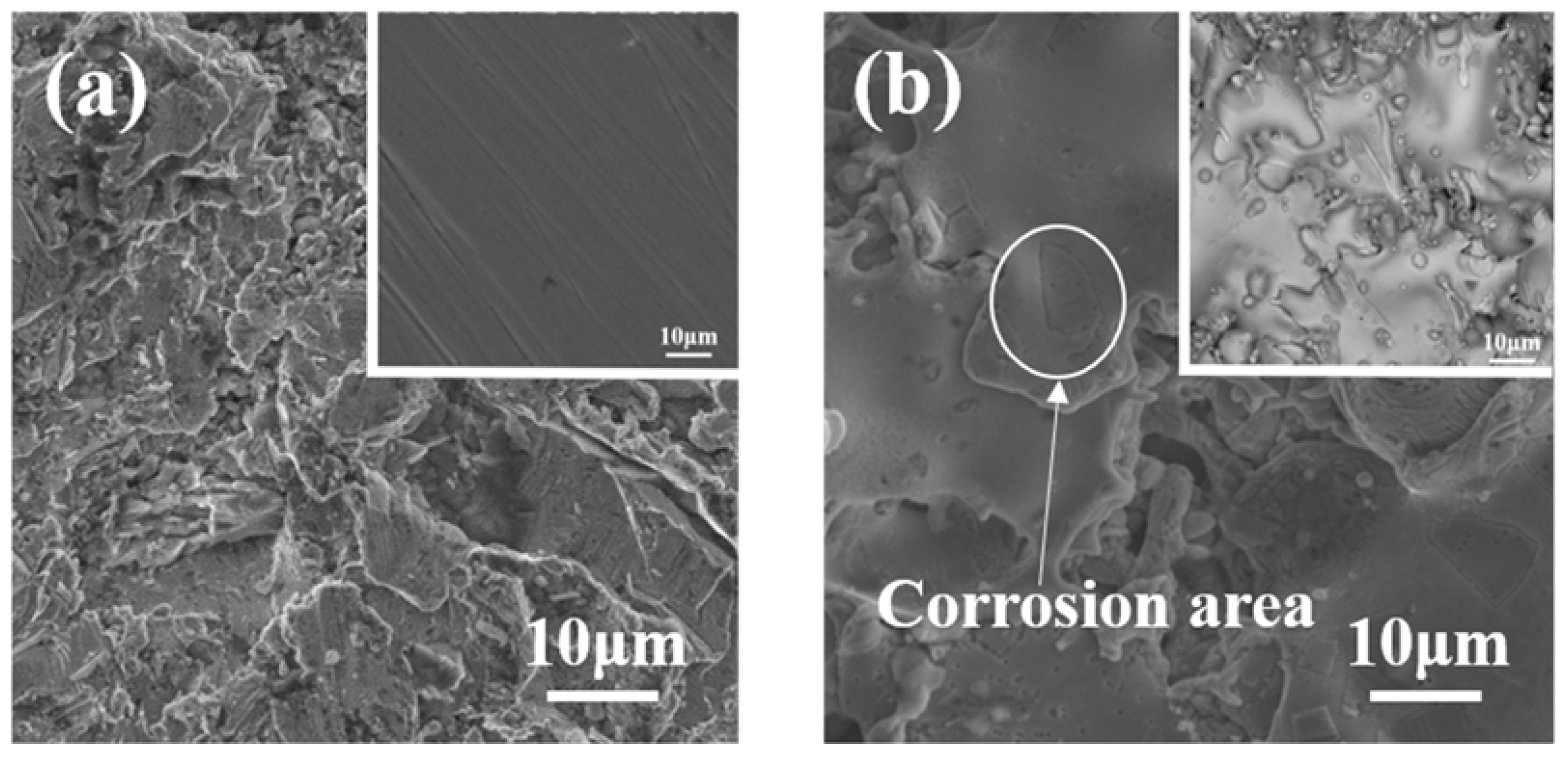Molecules 28 06718 g007
