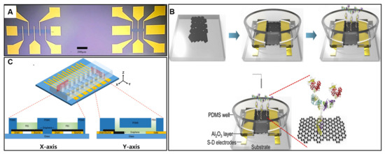 Strategies and Applications of Graphene and Its Derivatives-Based ...