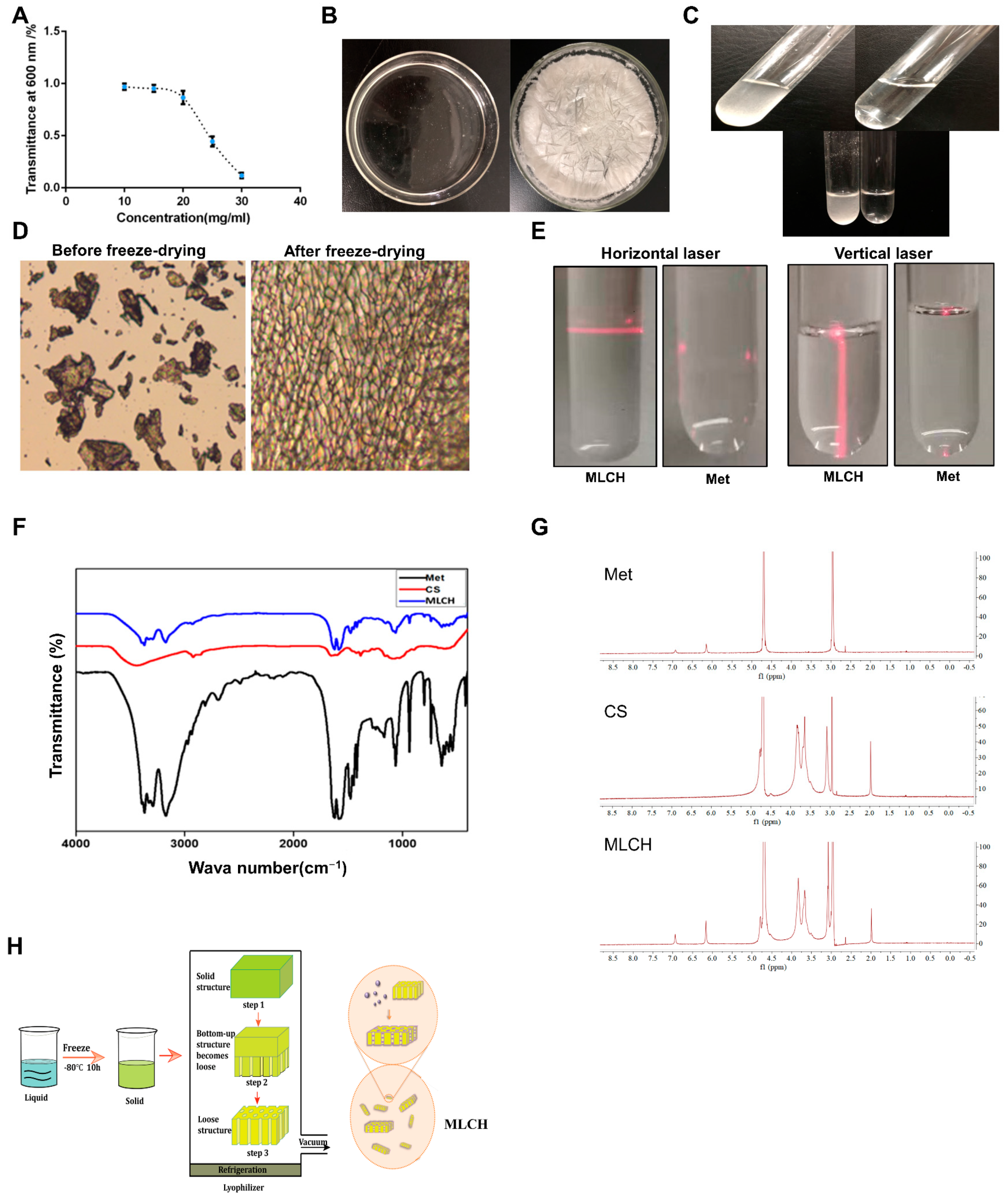Molecules 28 06720 g001