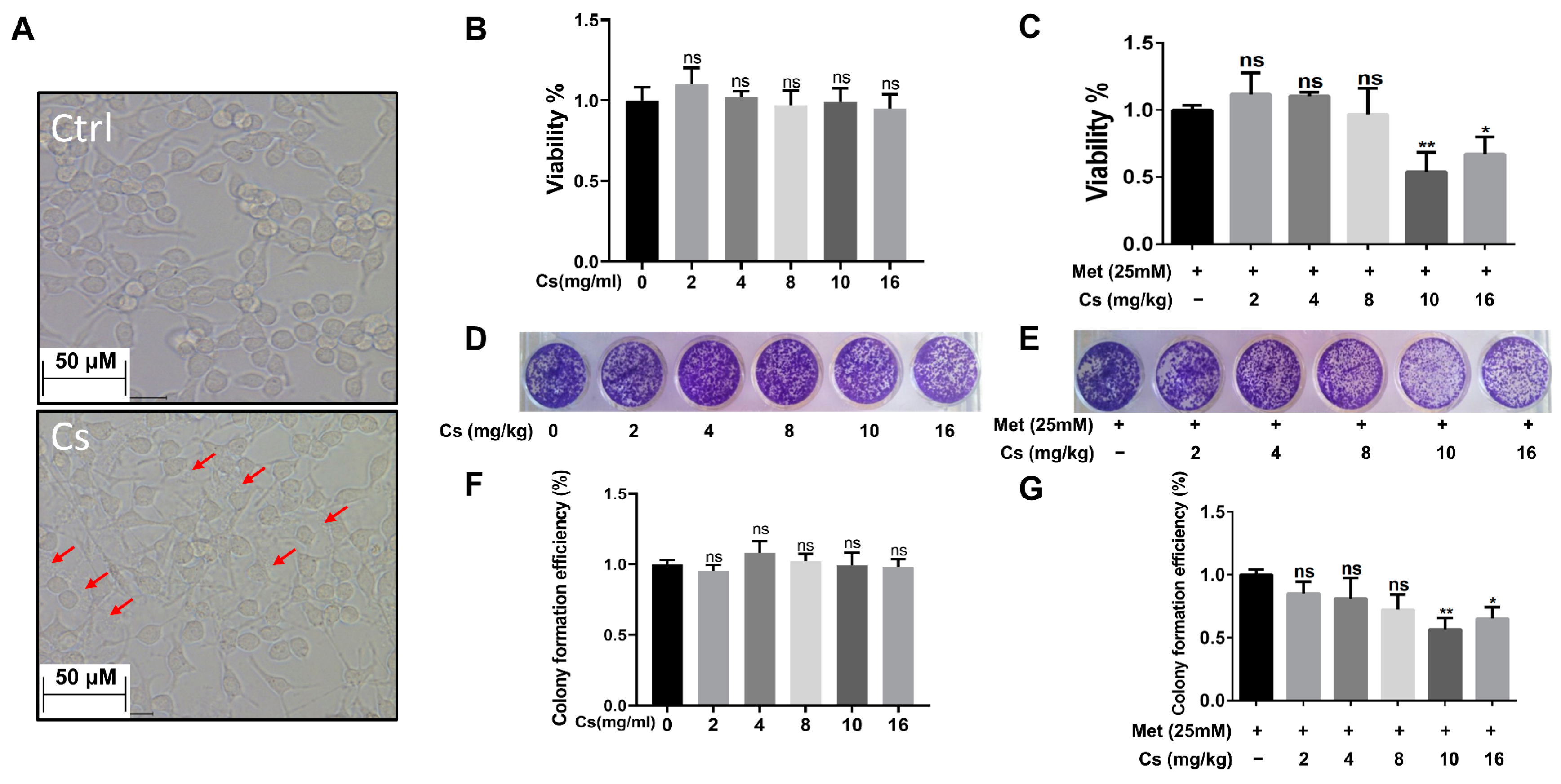 Molecules 28 06720 g003