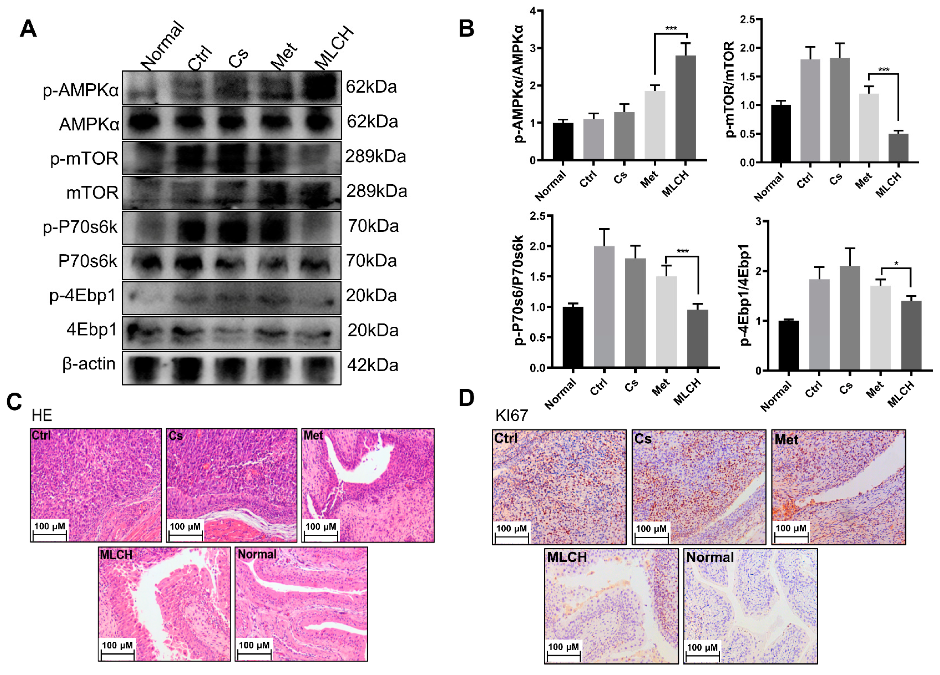 Molecules 28 06720 g005