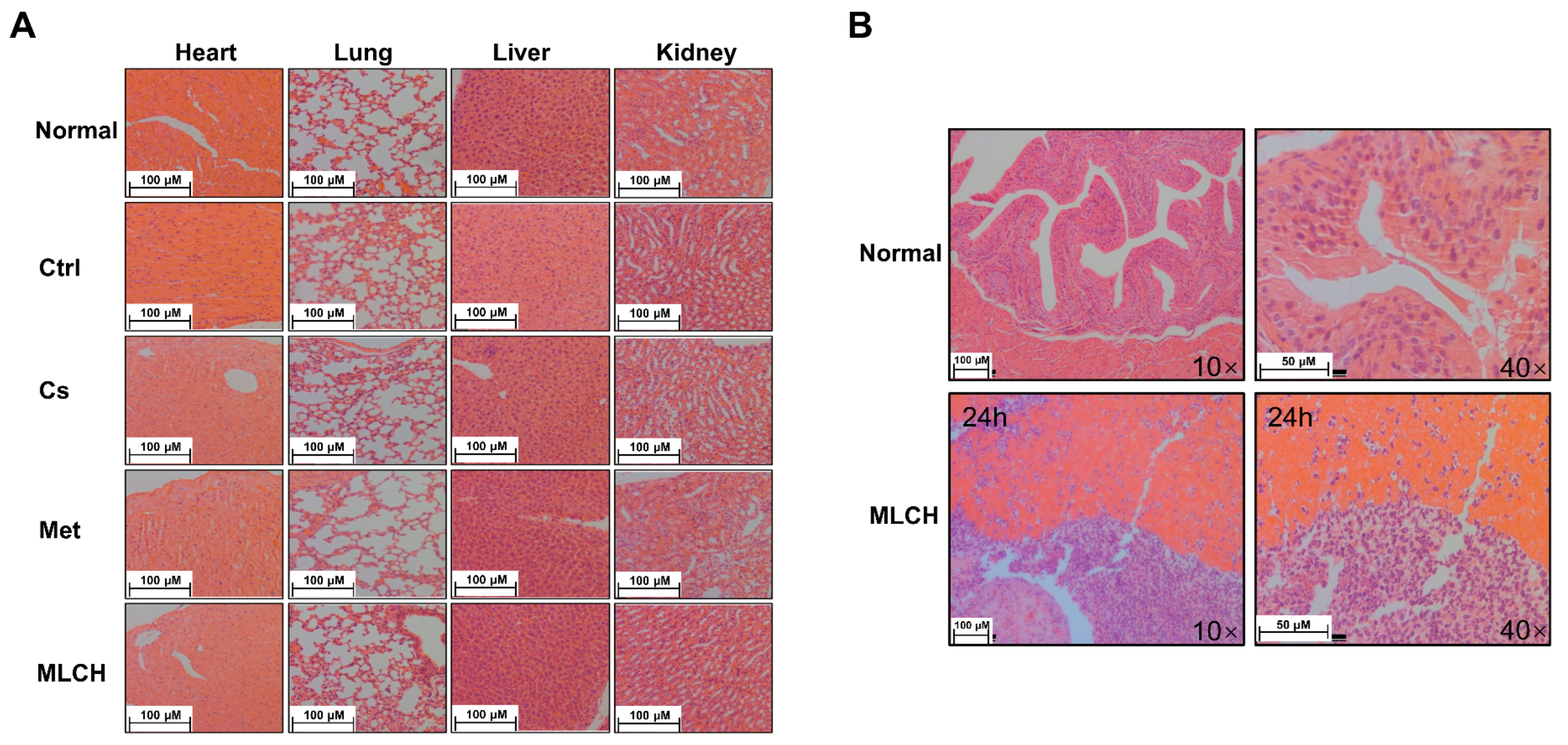 Molecules 28 06720 g006