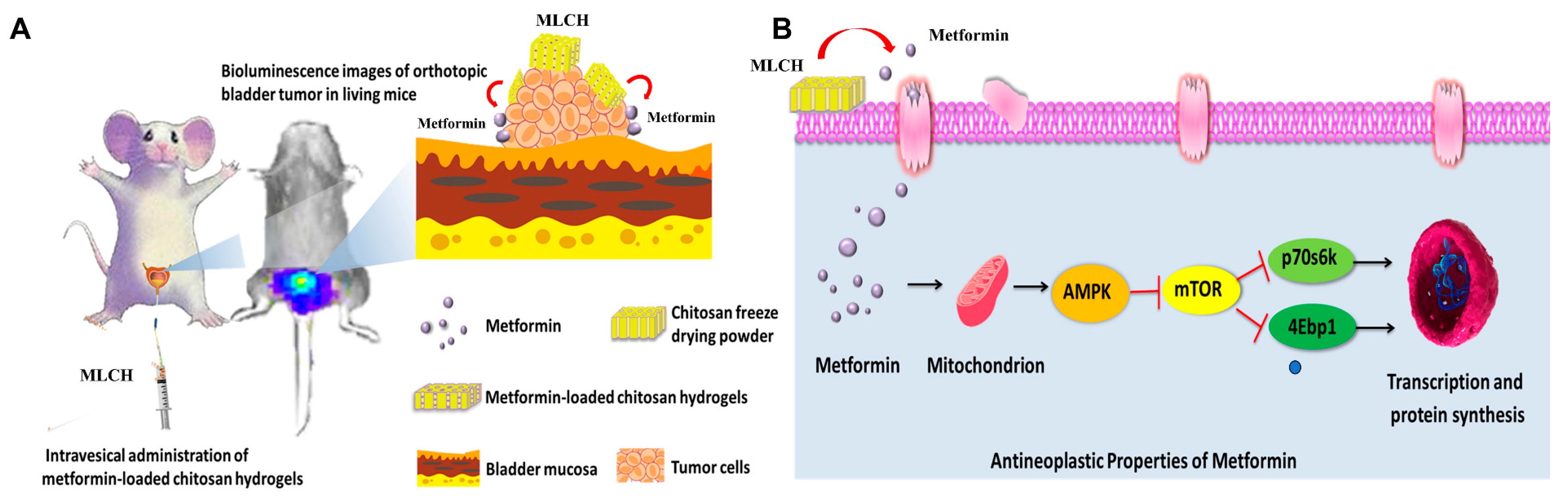 Molecules 28 06720 g007