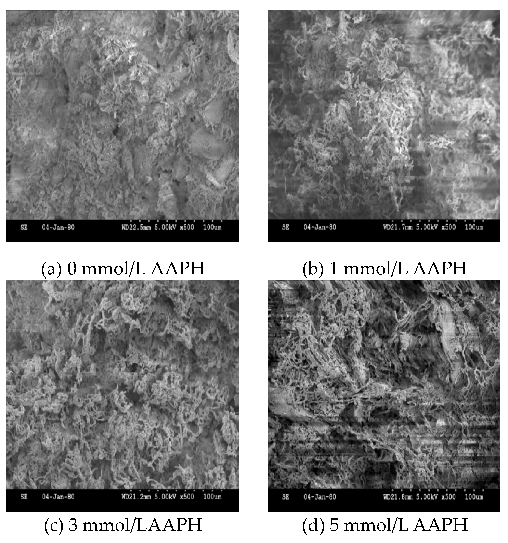 Molecules 28 06721 g007a