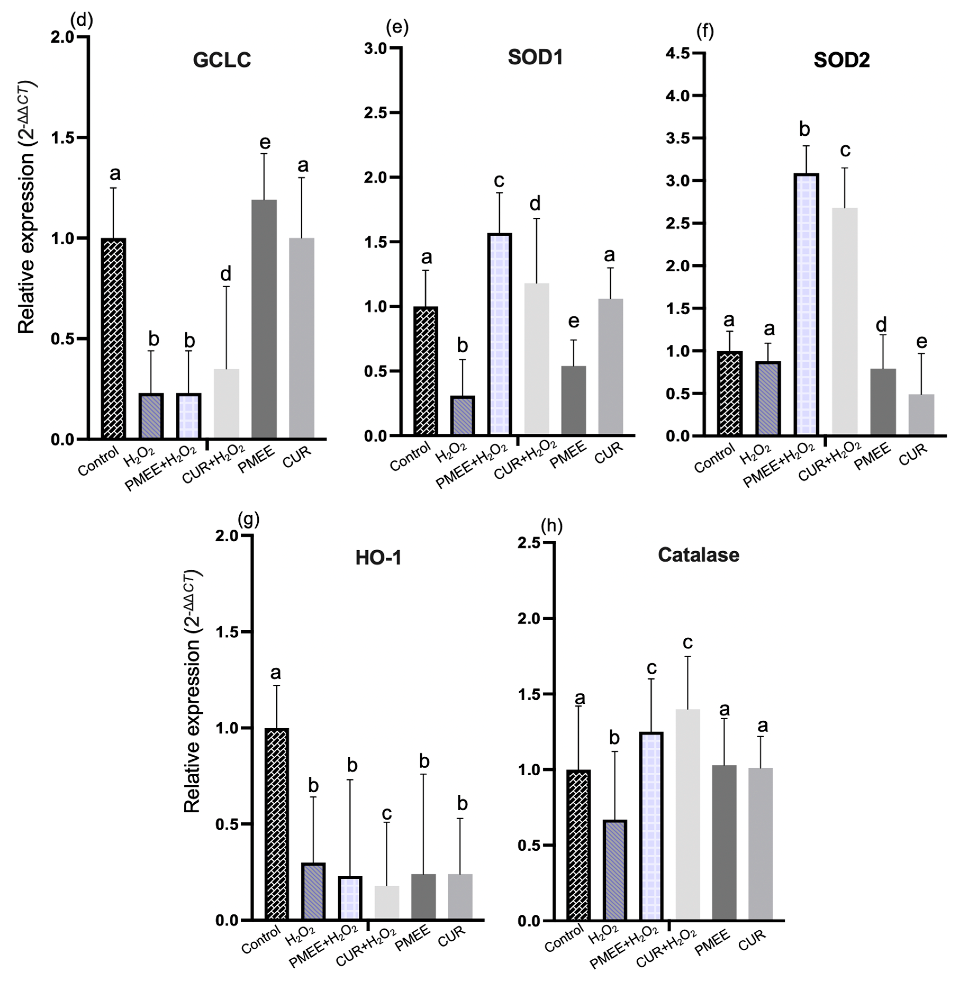 Molecules 28 06726 g006b