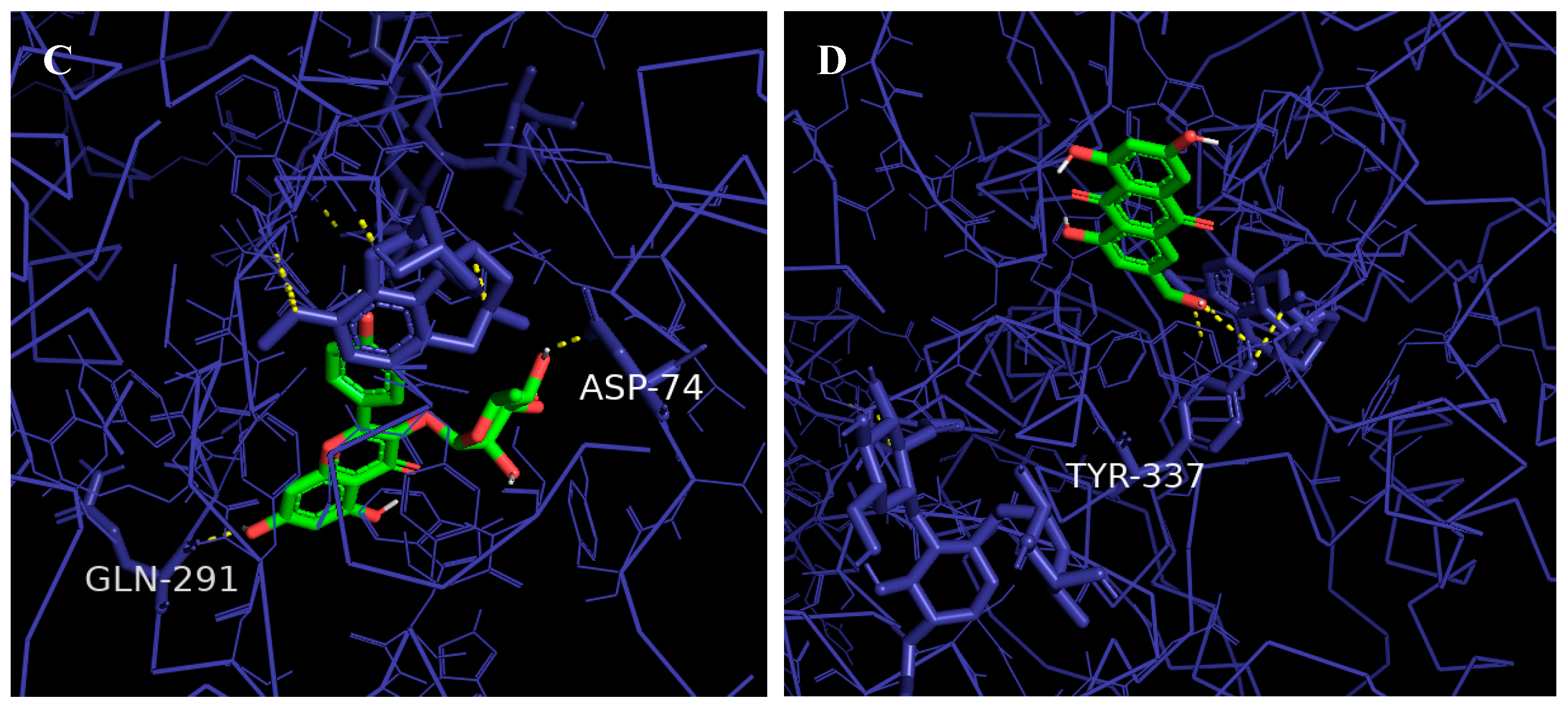 Molecules 28 06726 g011b