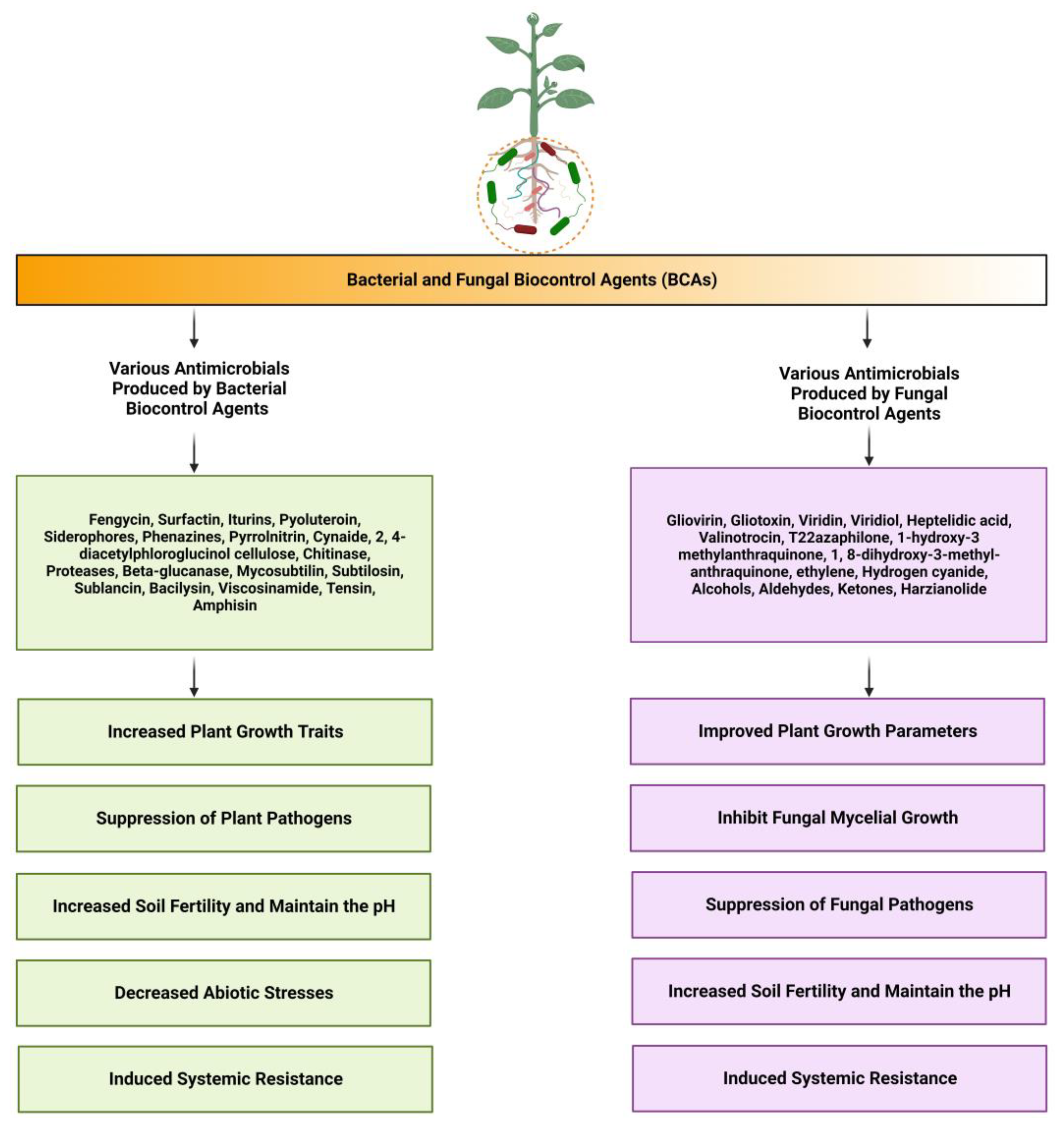 Molecules 28 06735 g001