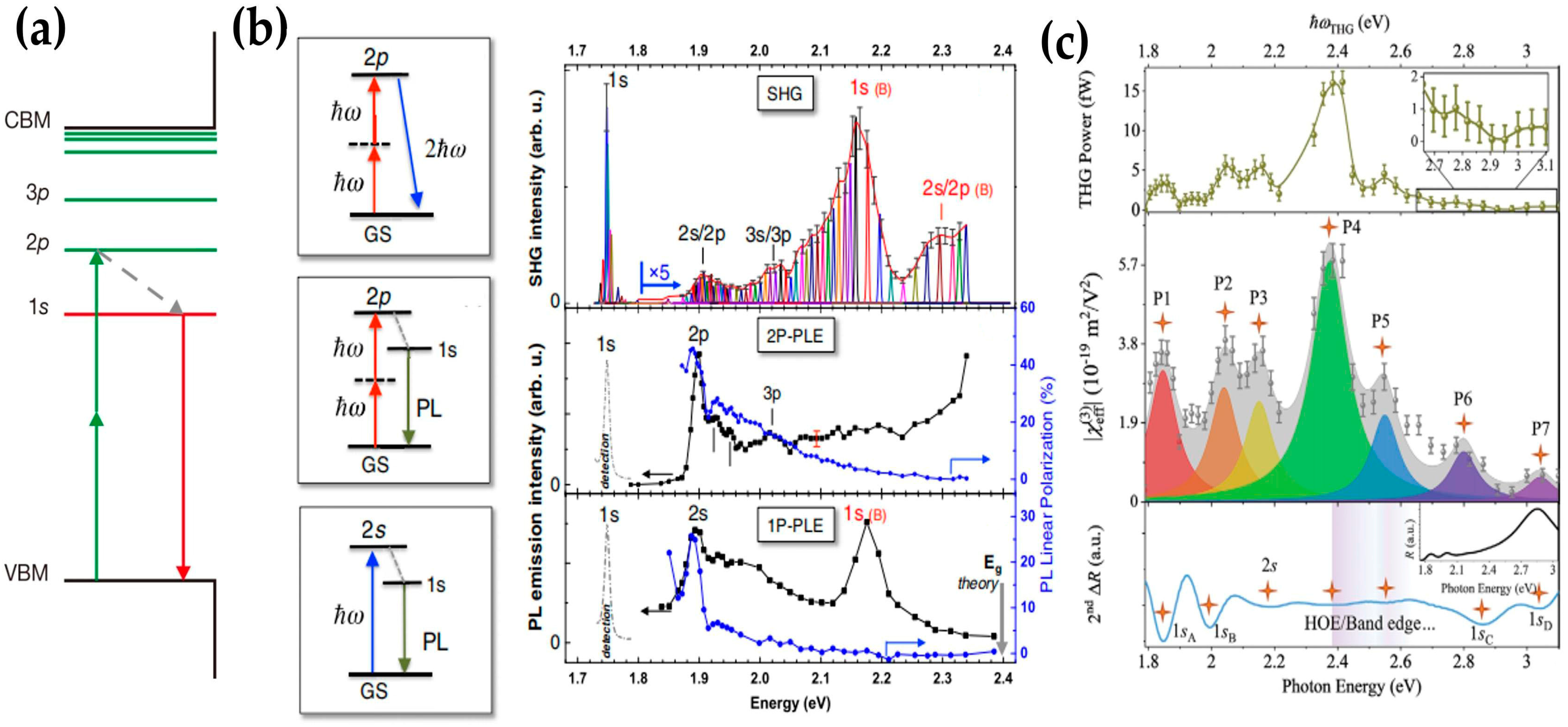 Molecules 28 06737 g006