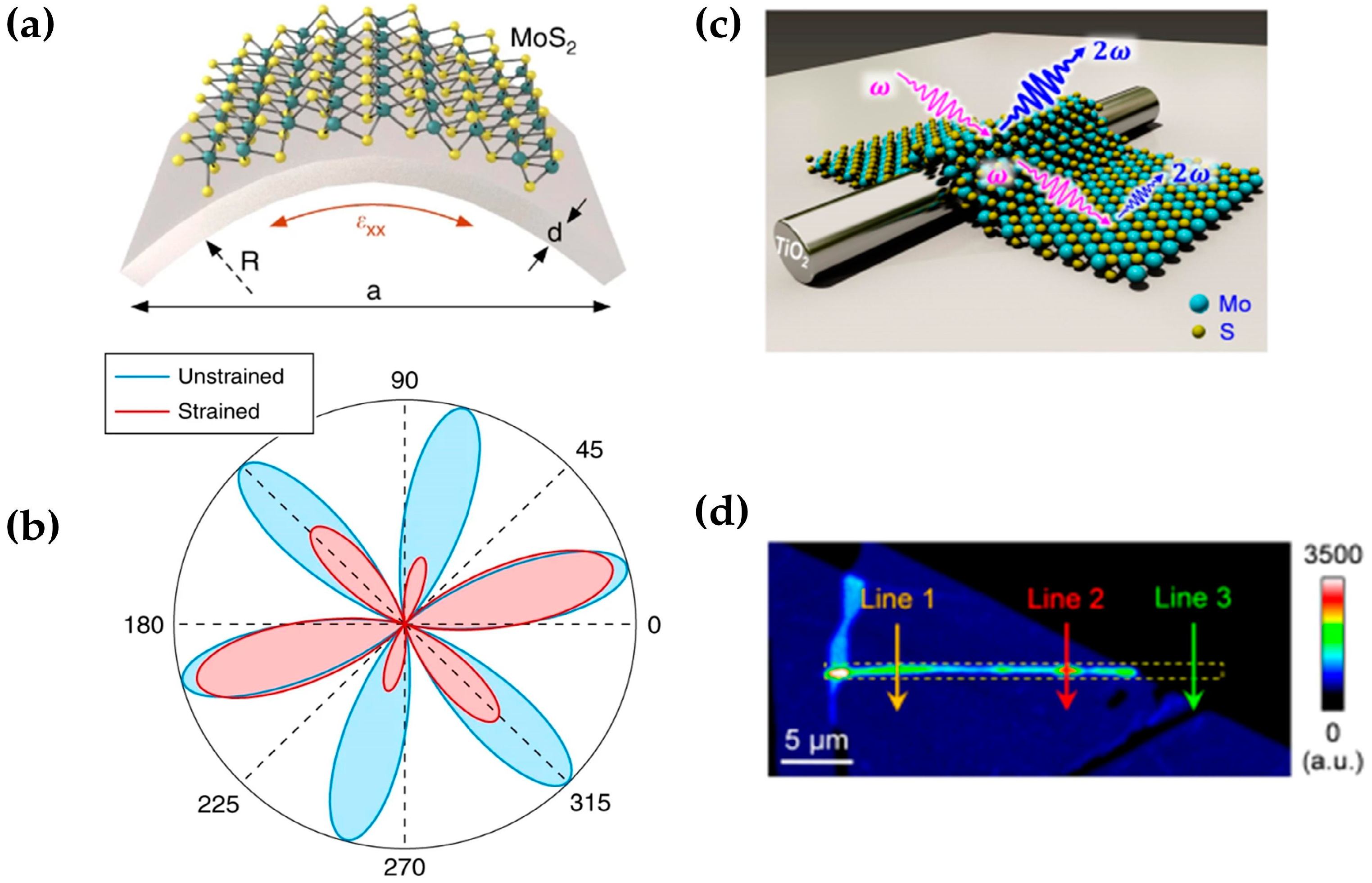 Molecules 28 06737 g008