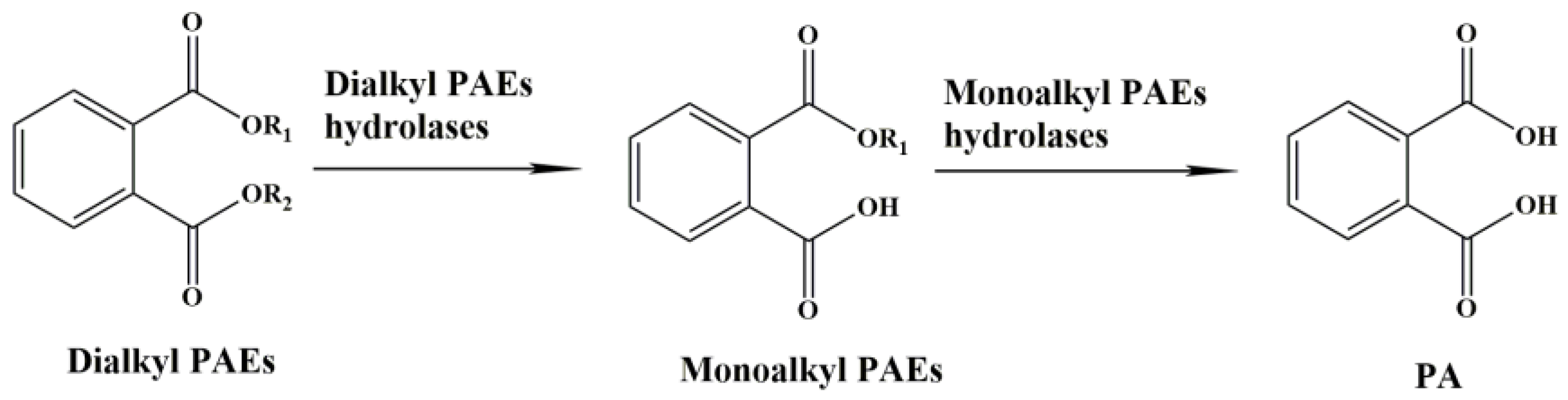 Molecules 28 06738 g001