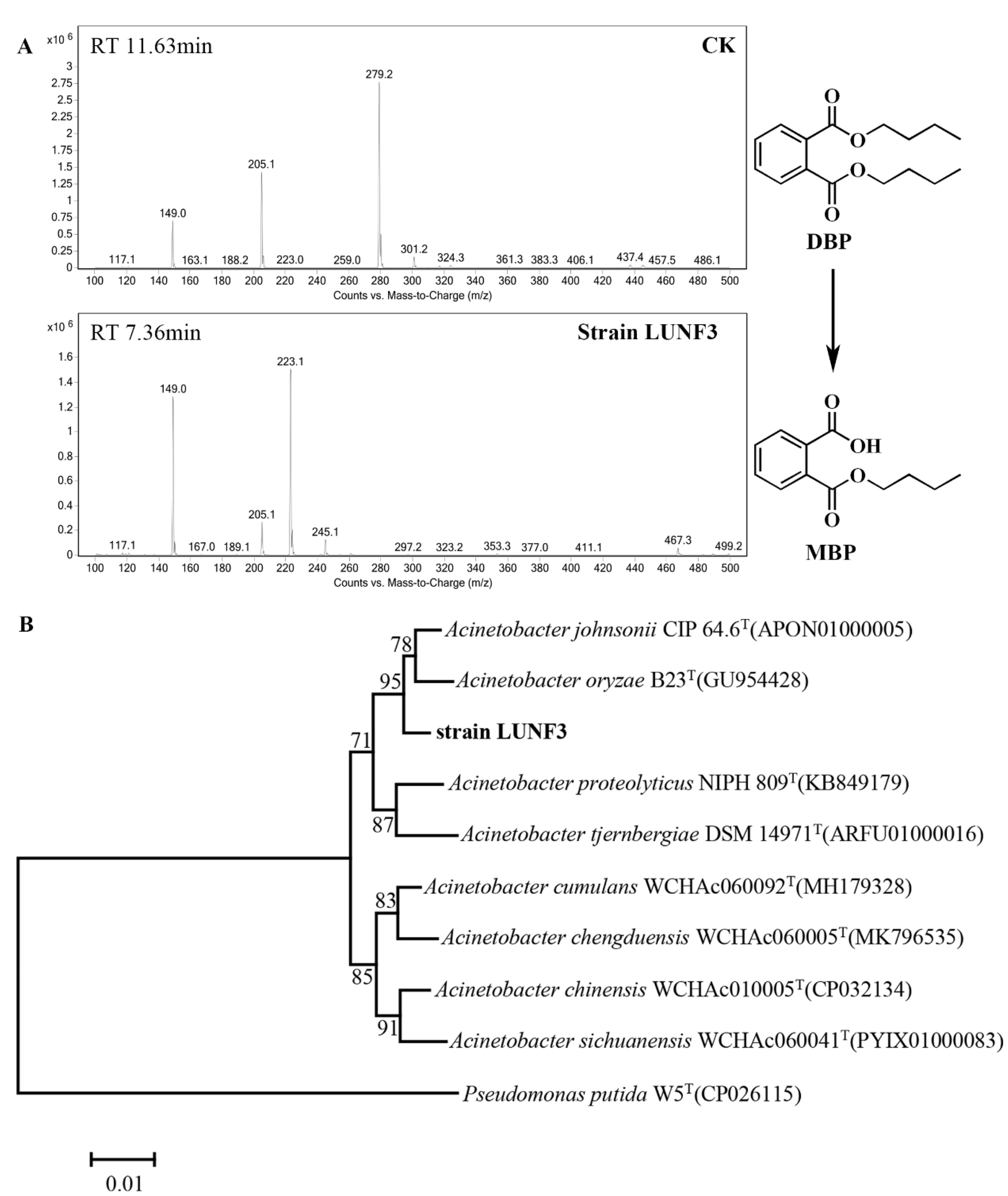 Molecules 28 06738 g002
