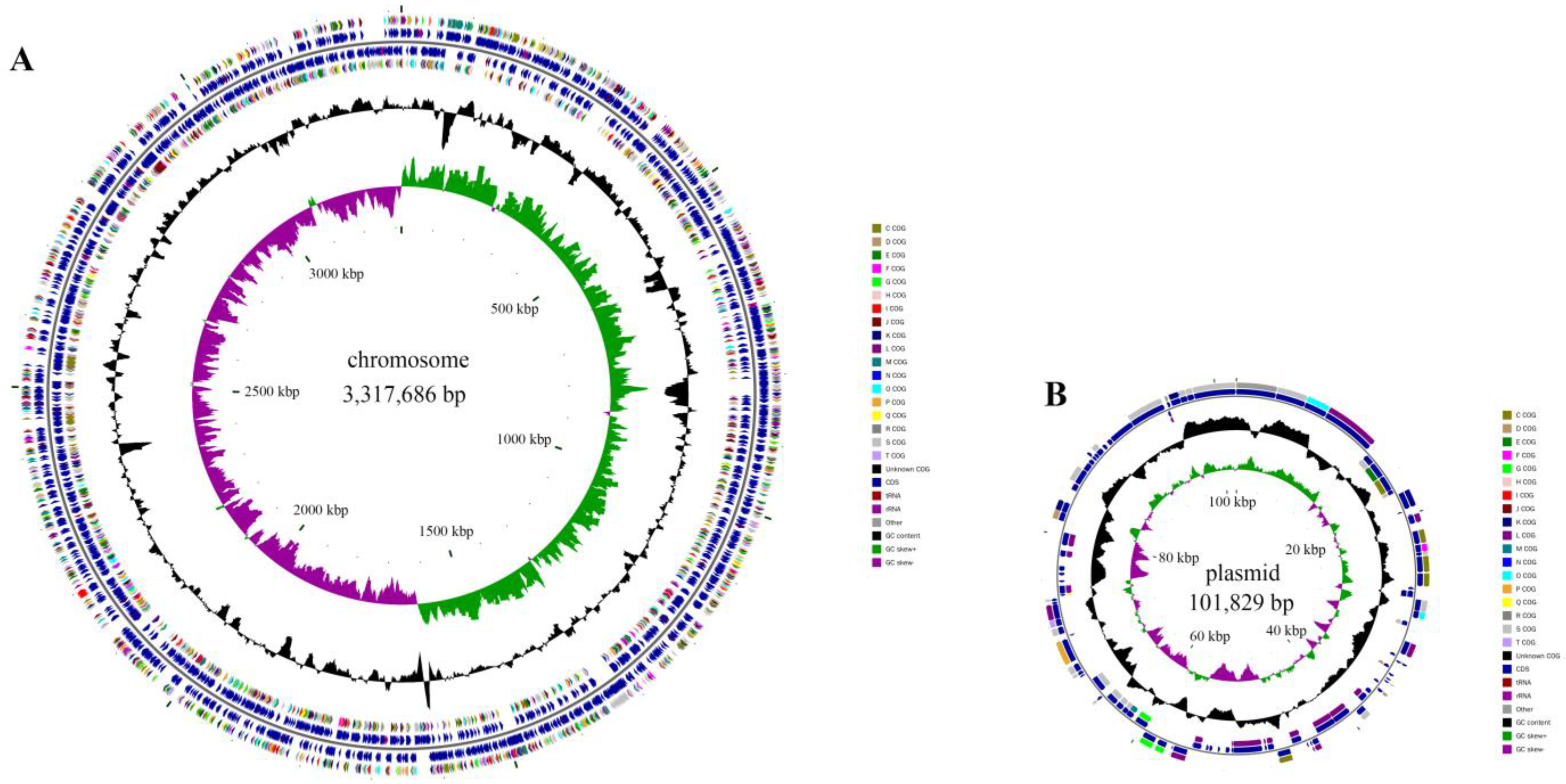 Molecules 28 06738 g004