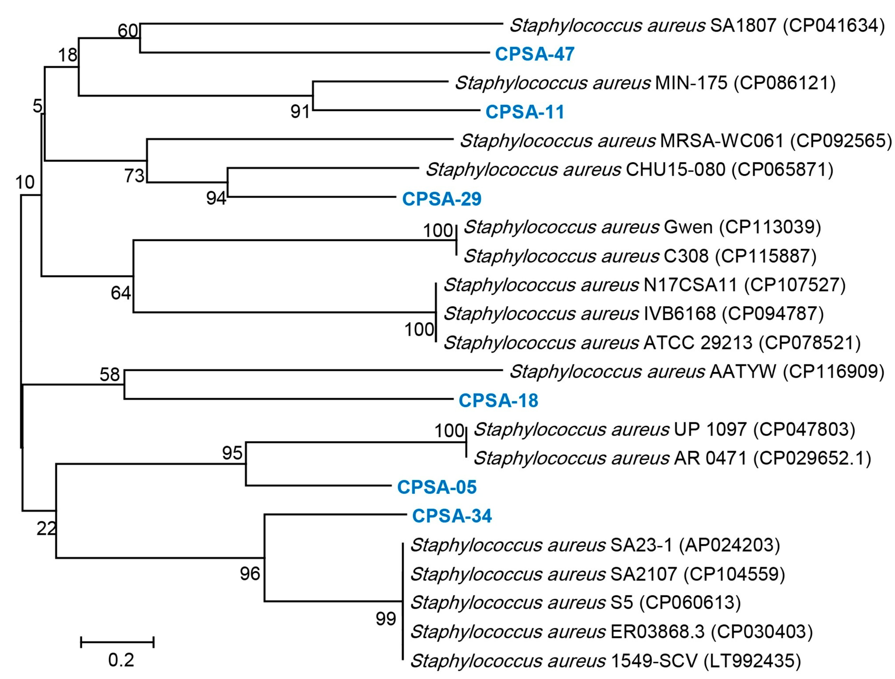 Molecules 28 06742 g003