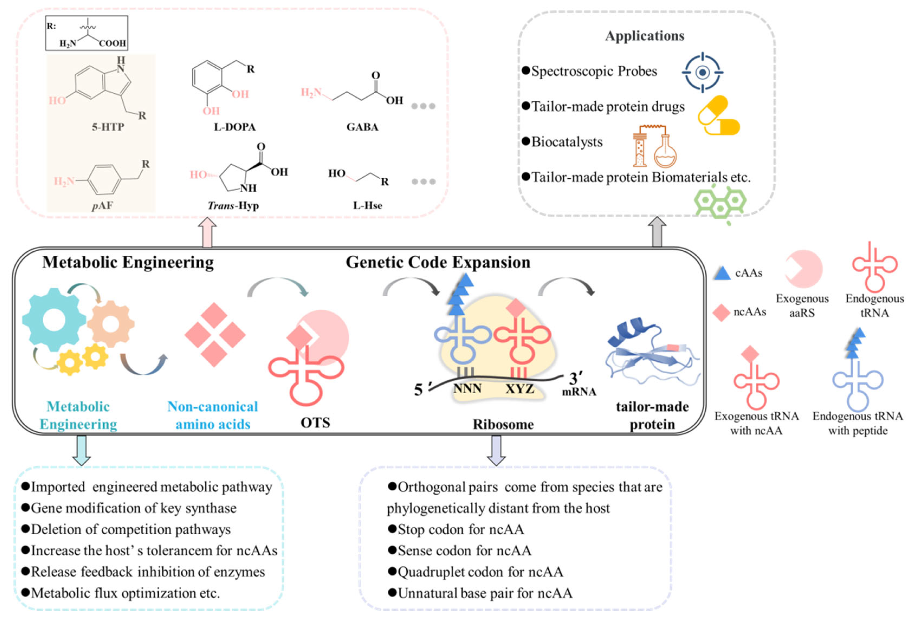 Molecules 28 06745 g002 Molecules 28 06745 g002