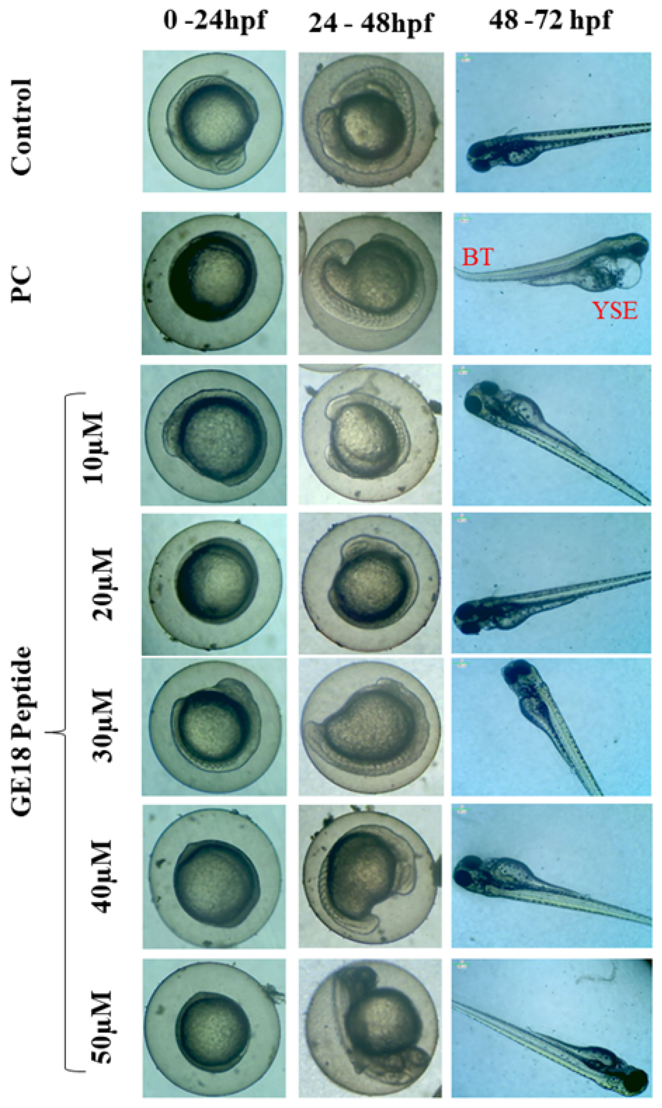 Molecules 28 06746 g001