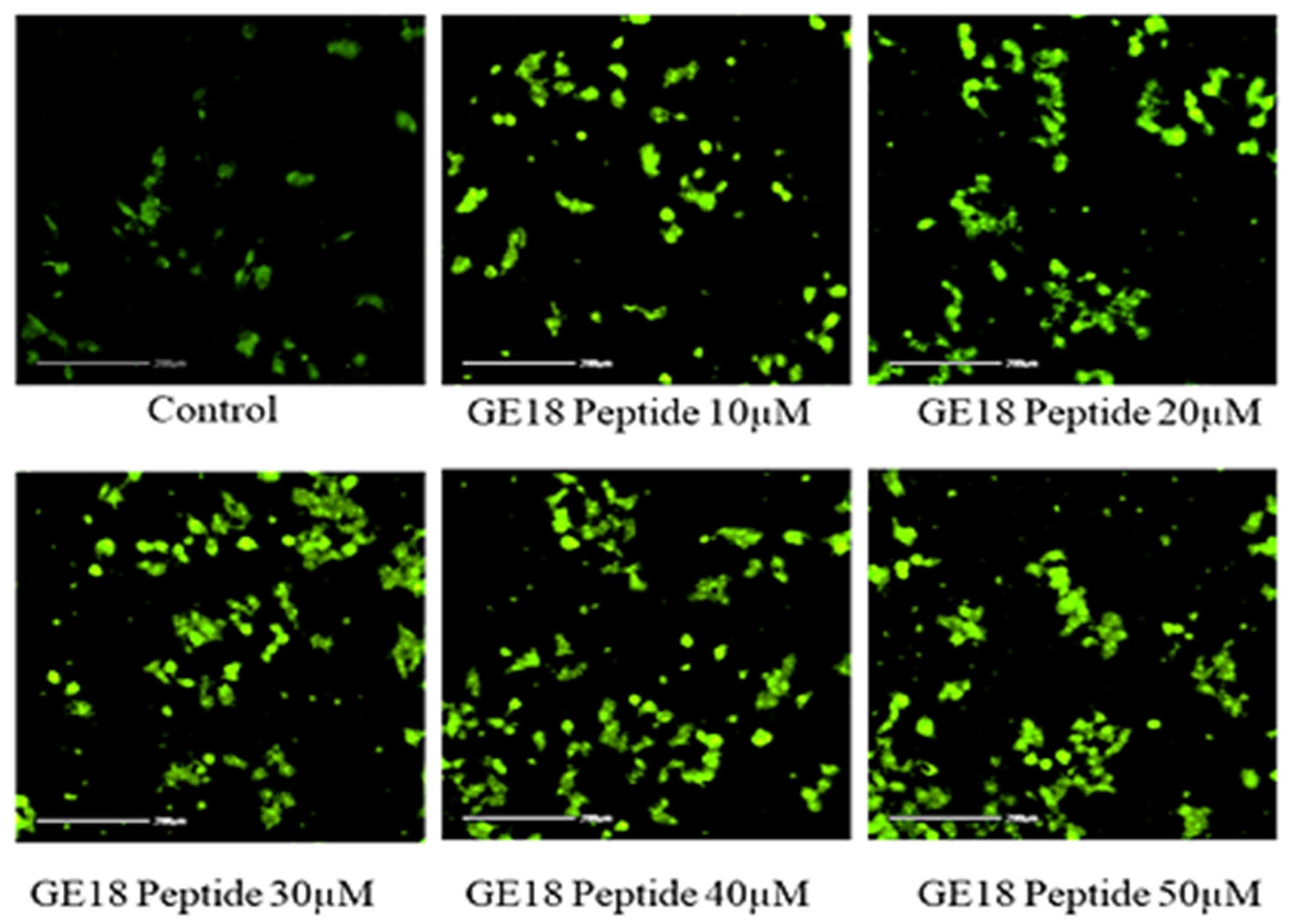Molecules 28 06746 g005