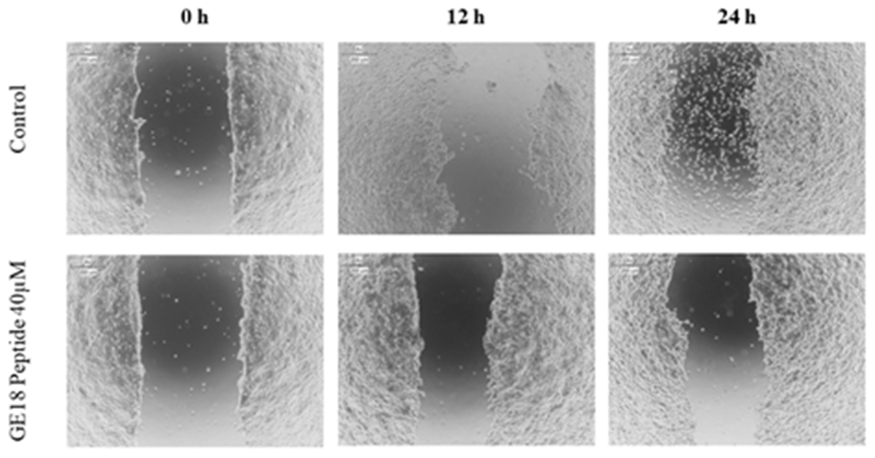 Molecules 28 06746 g007